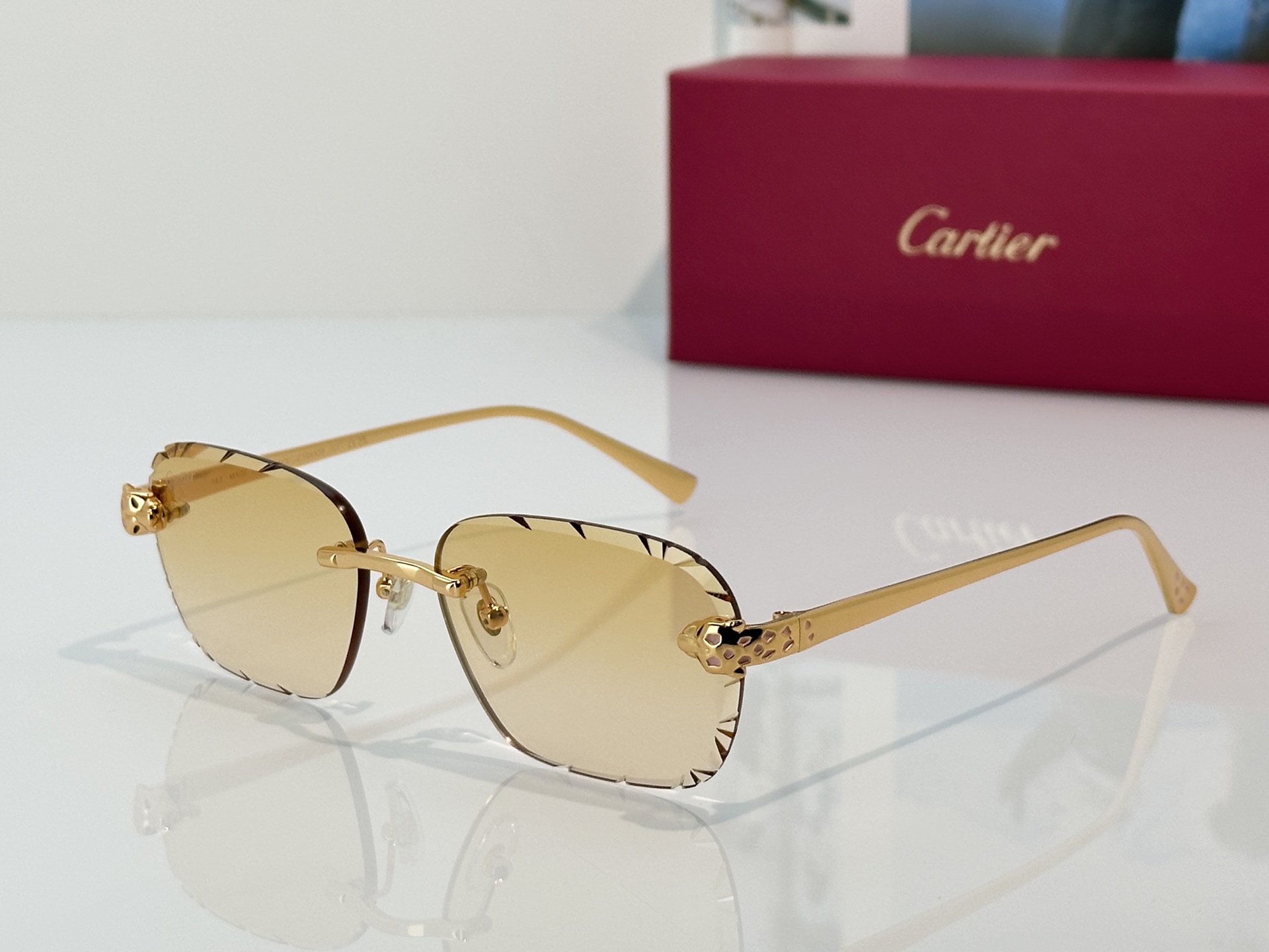 Designer Sunglasses CT0635S