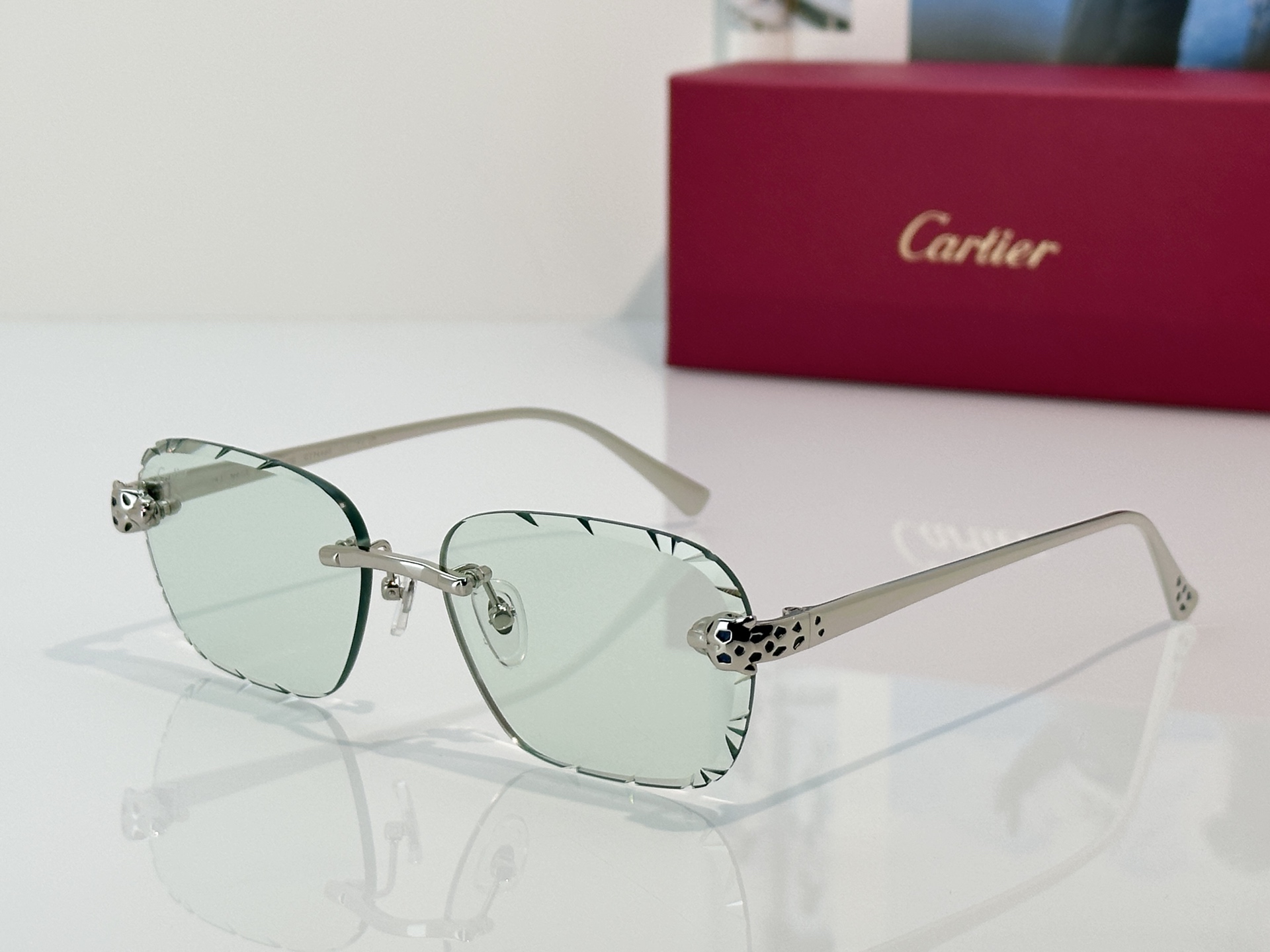 Designer Sunglasses CT0635S