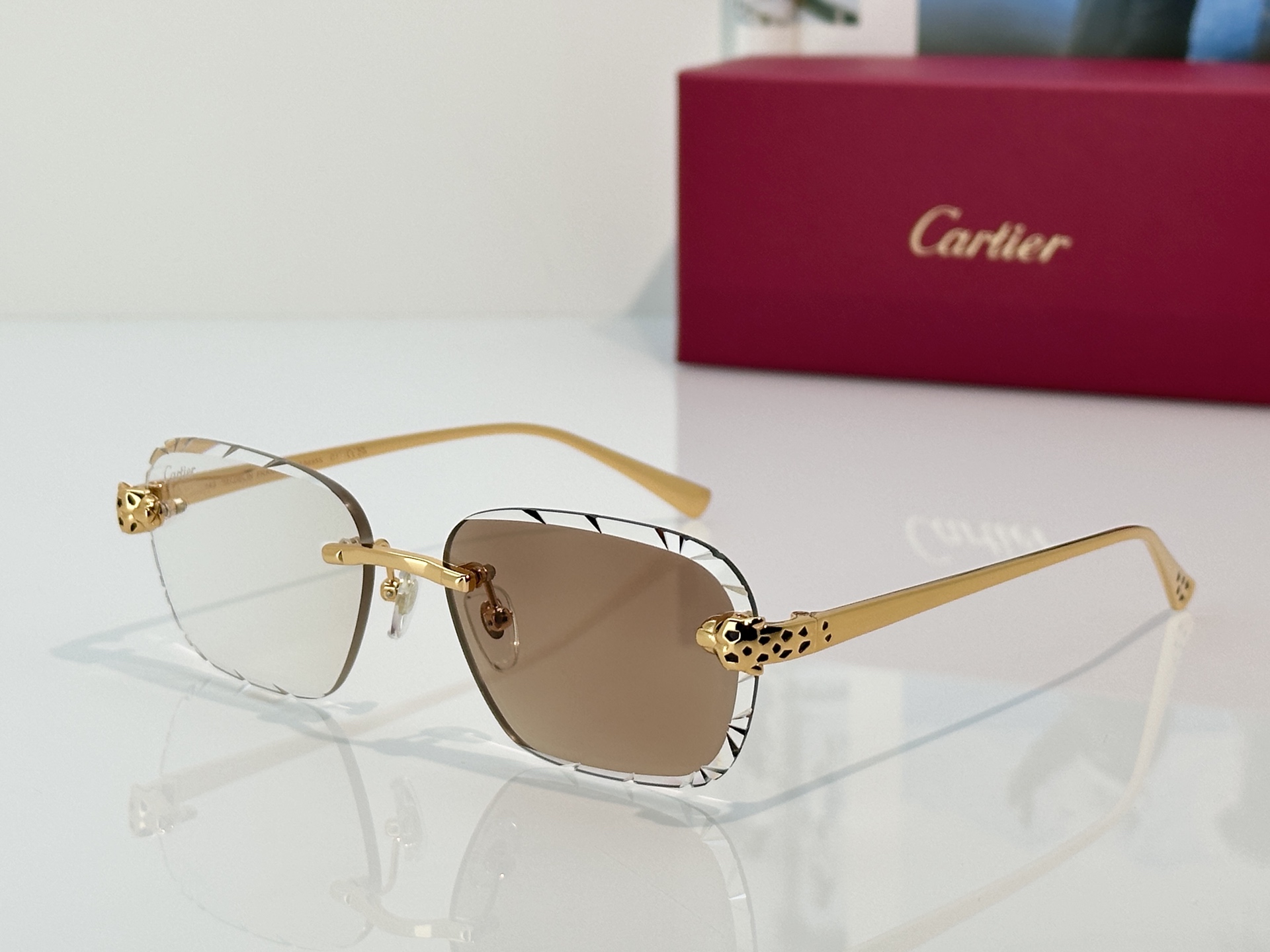 Designer Sunglasses CT0635S