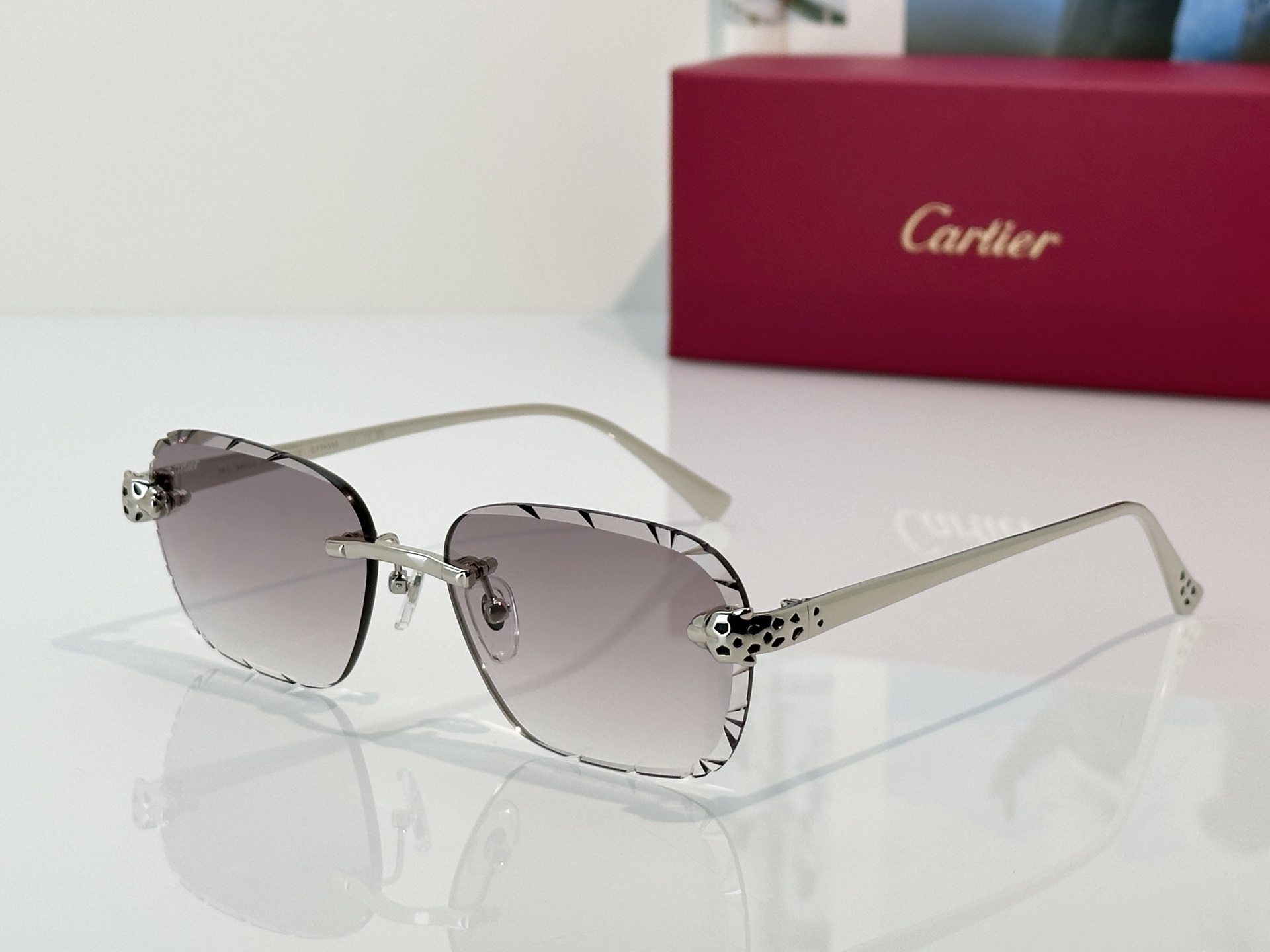 Designer Sunglasses CT0635S