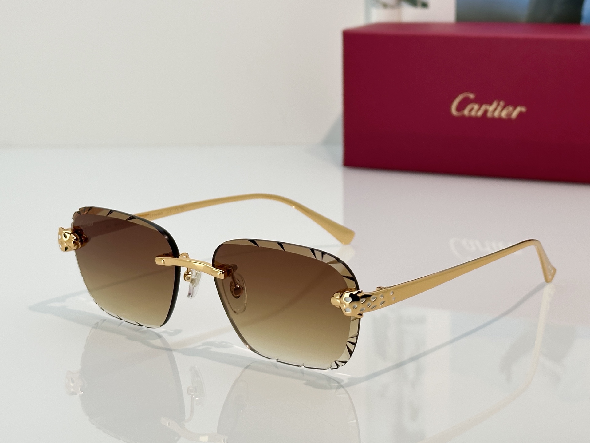 Designer Sunglasses CT0635S