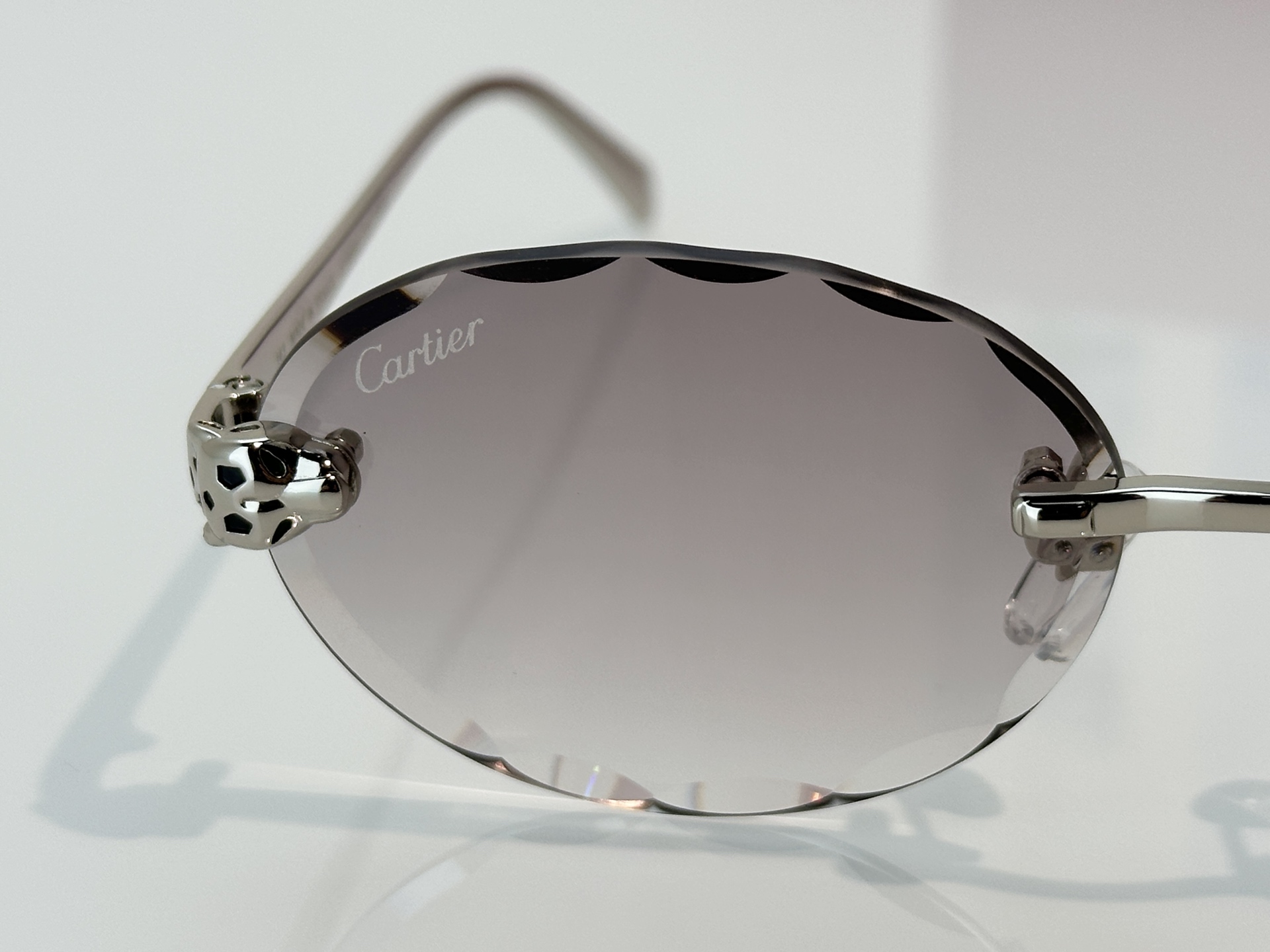 Designer Sunglasses CT7449S