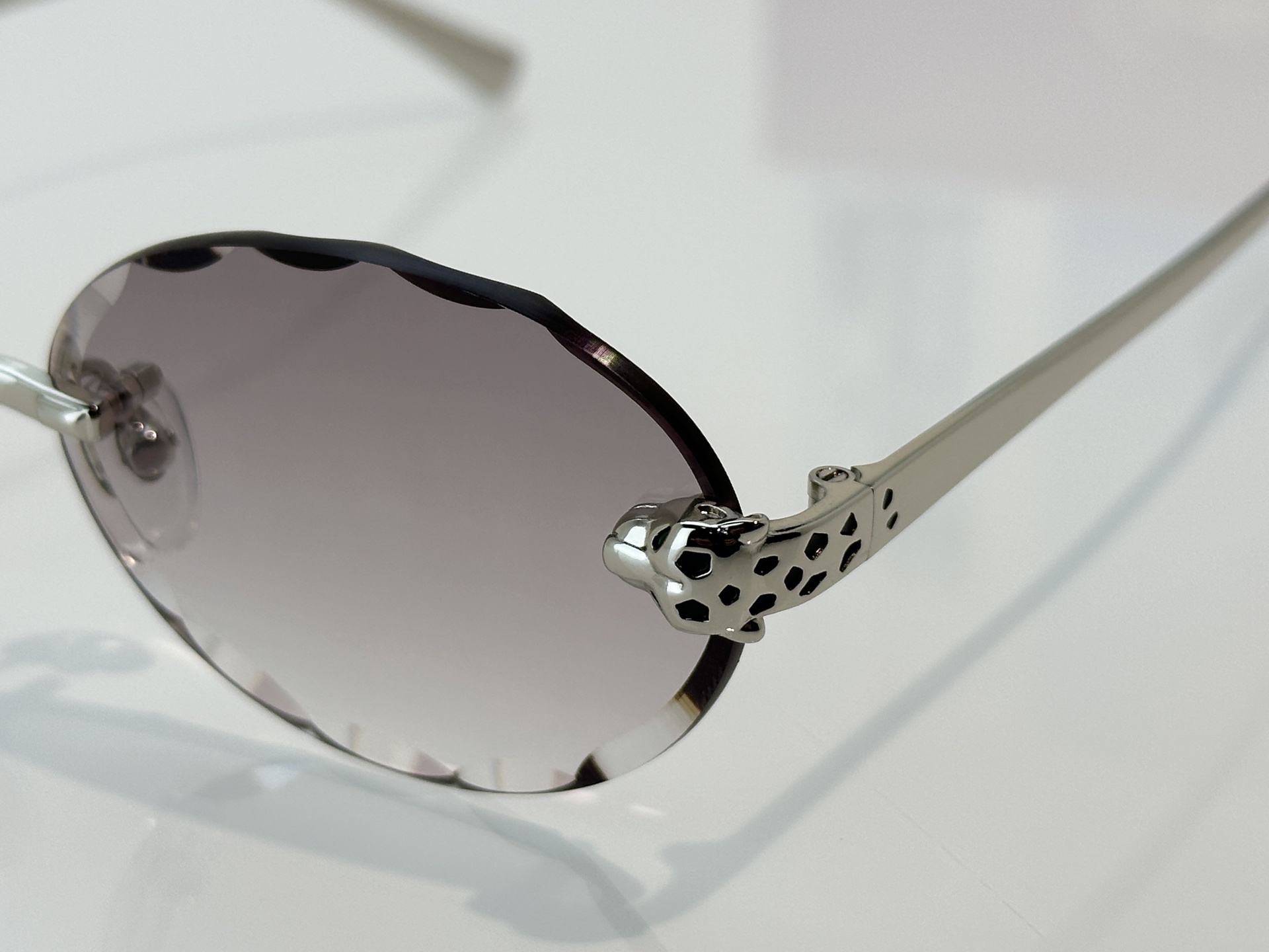Designer Sunglasses CT7449S