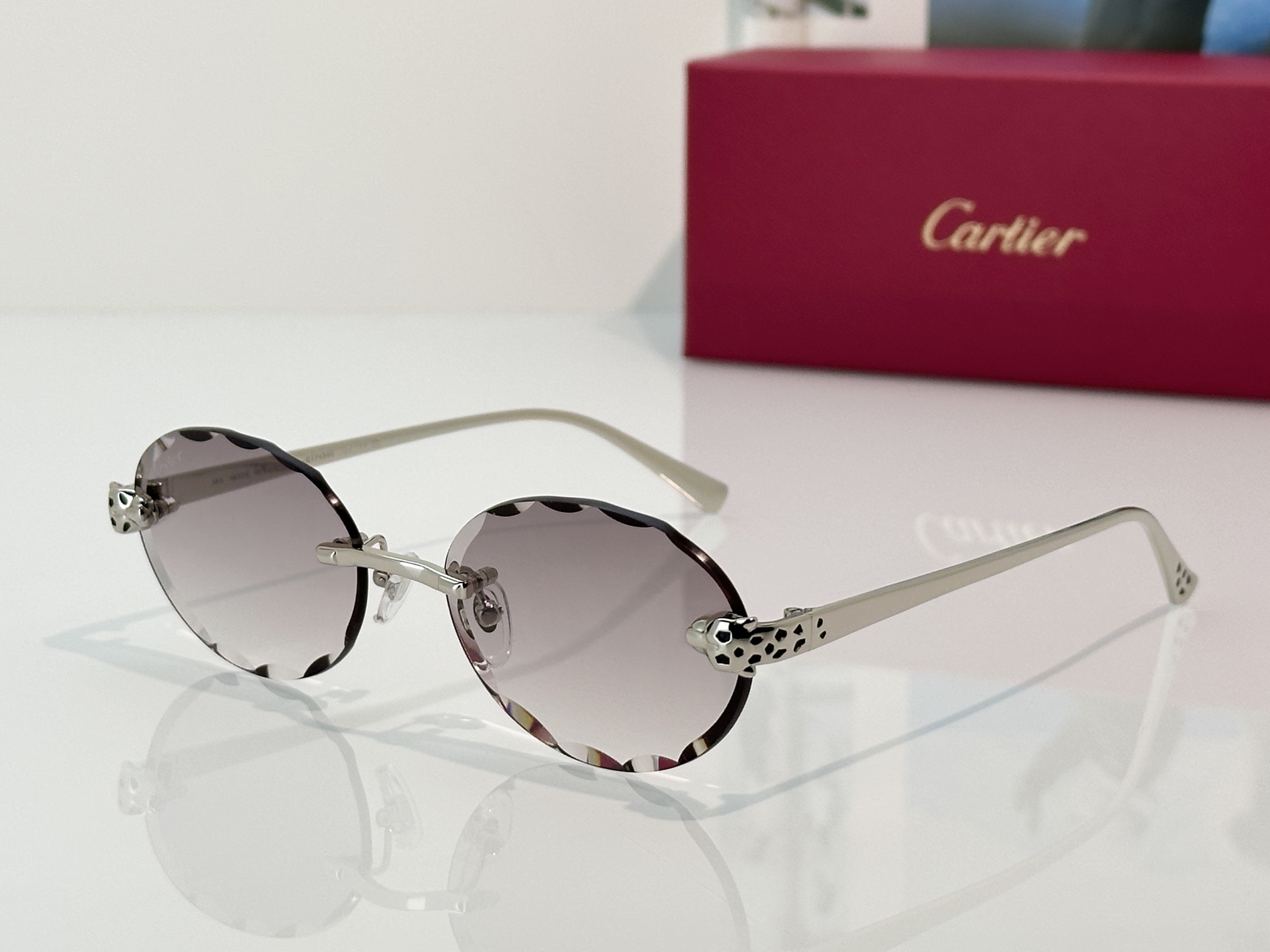 Designer Sunglasses CT7449S