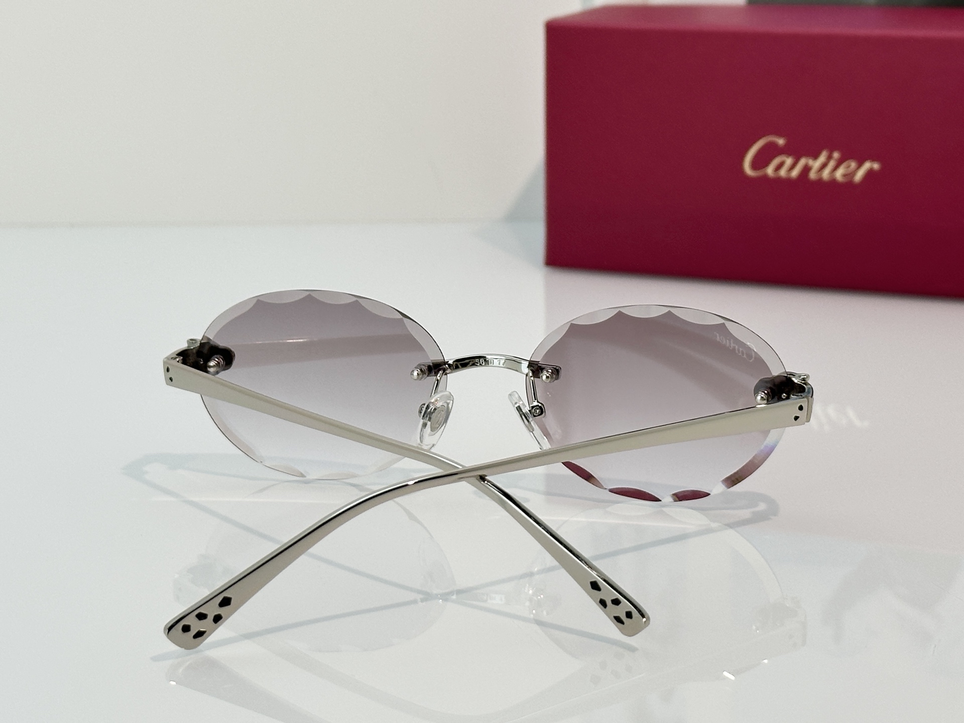 Designer Sunglasses CT7449S
