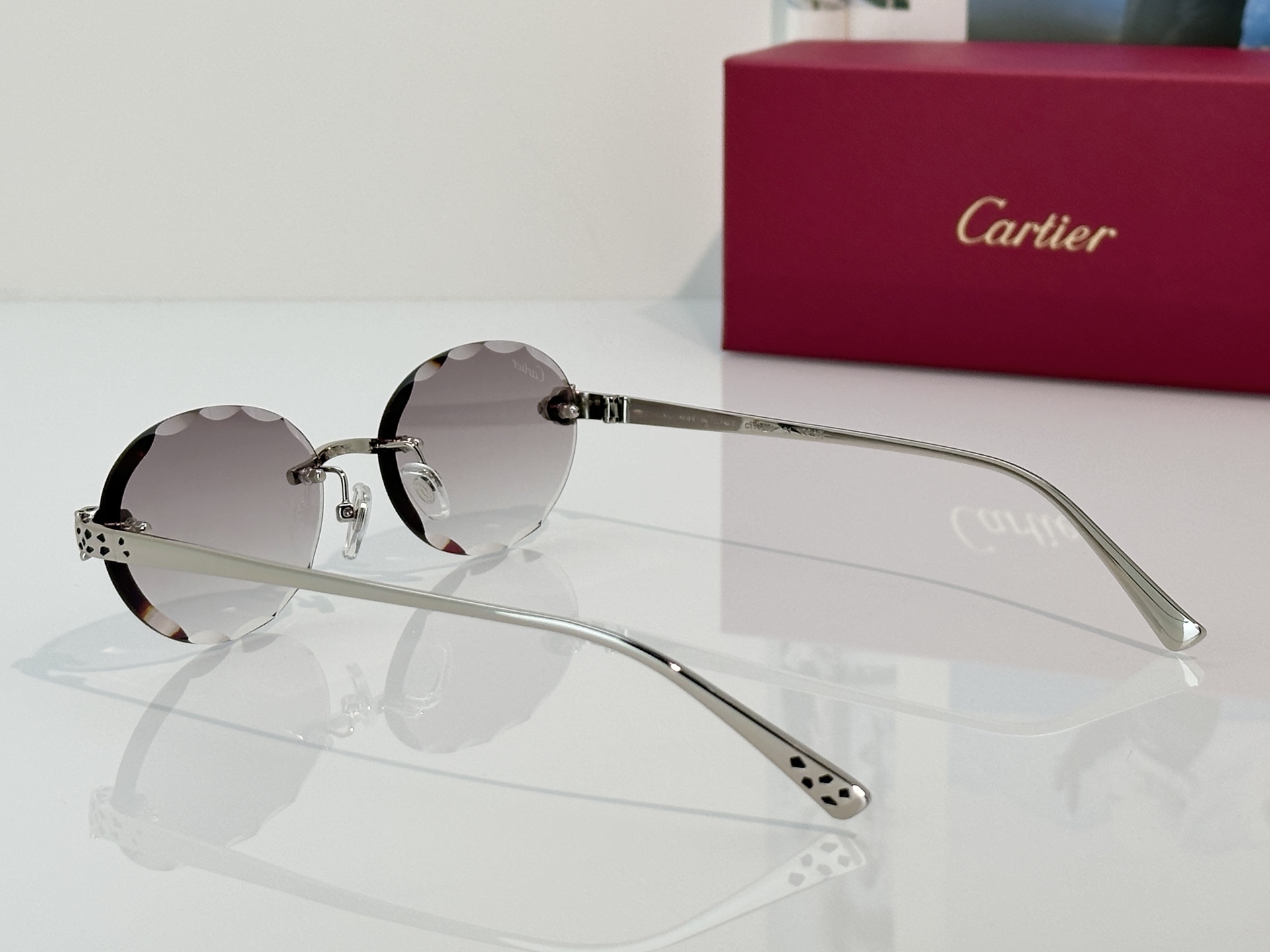 Designer Sunglasses CT7449S
