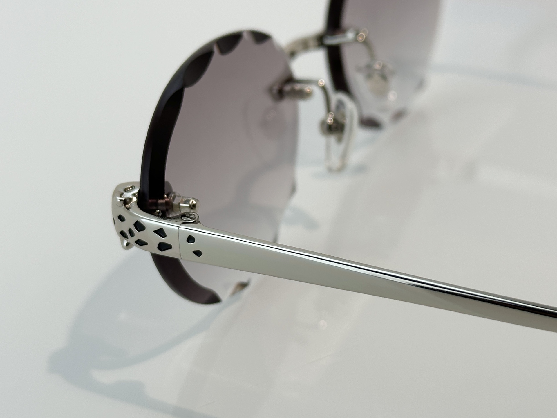 Designer Sunglasses CT7449S