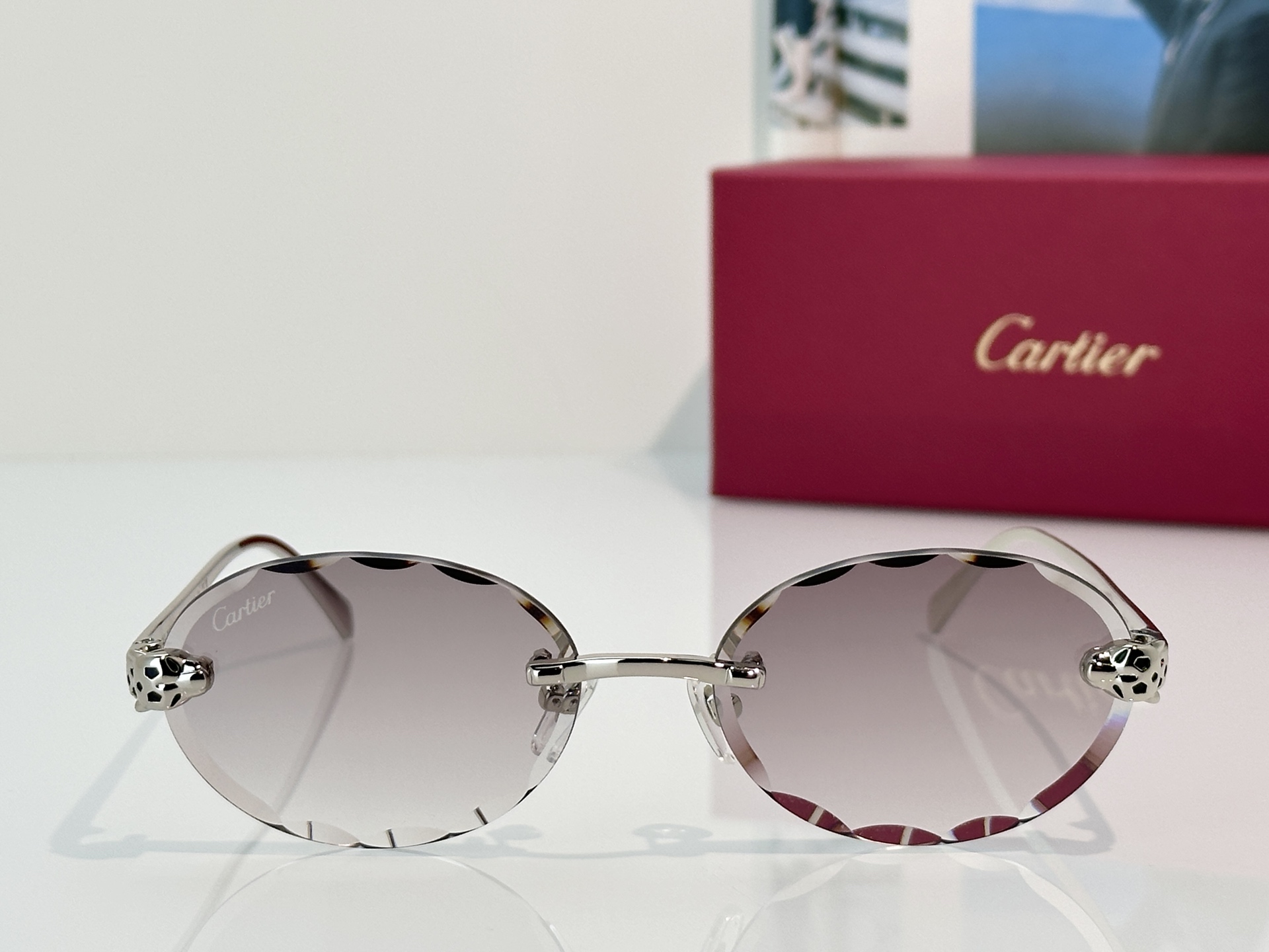 Designer Sunglasses CT7449S