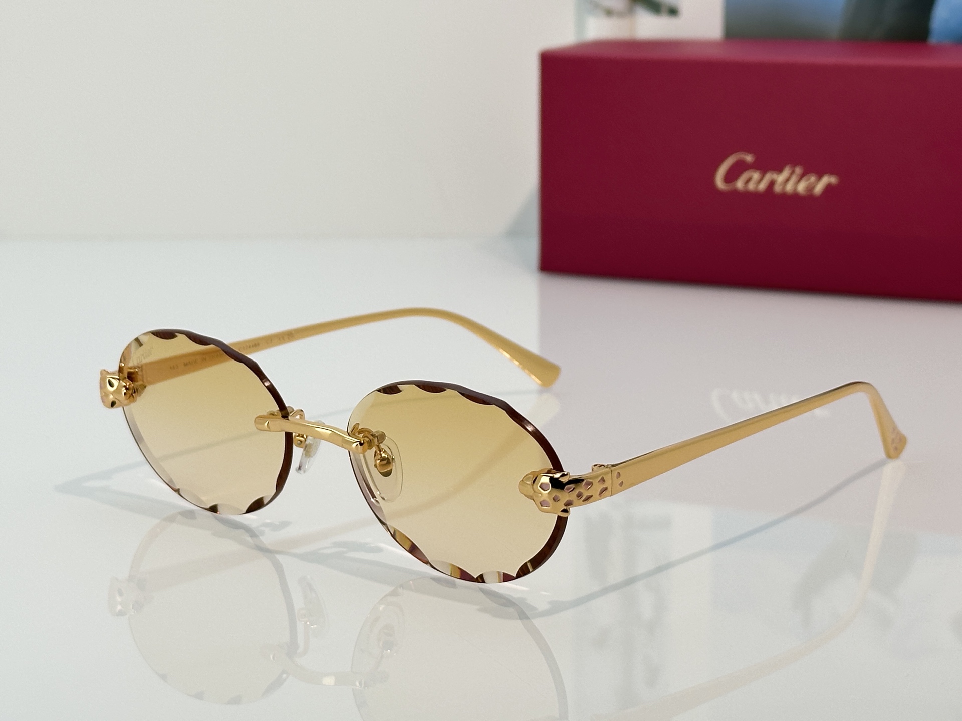 Designer Sunglasses CT7449S