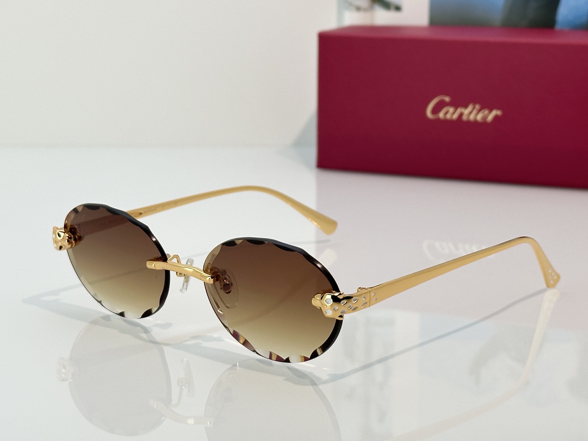 Designer Sunglasses CT7449S