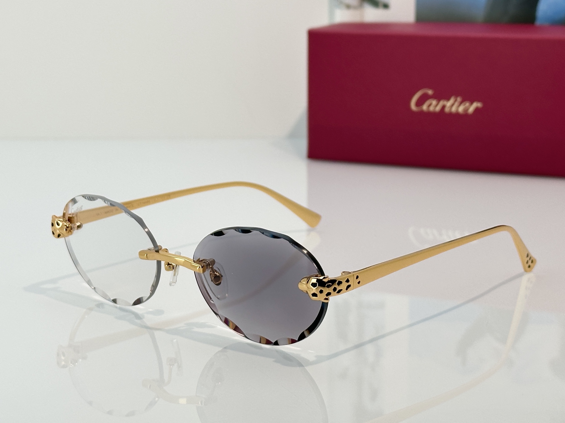 Designer Sunglasses CT7449S