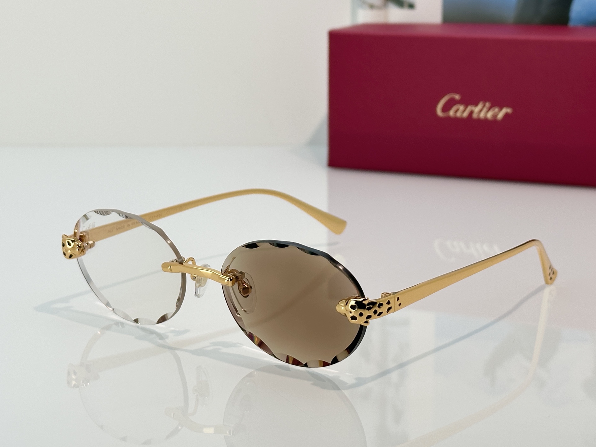 Designer Sunglasses CT7449S