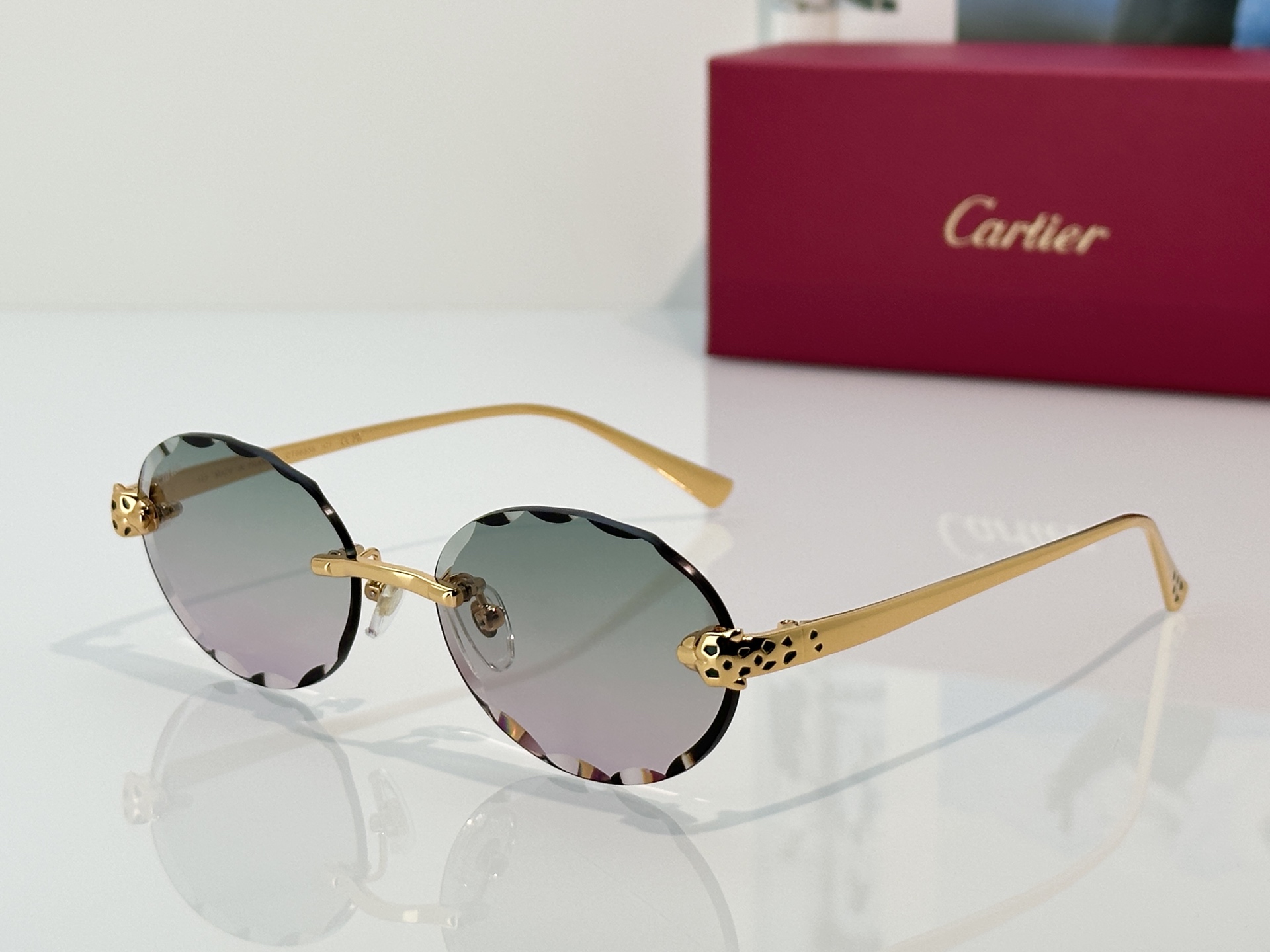 Designer Sunglasses CT7449S