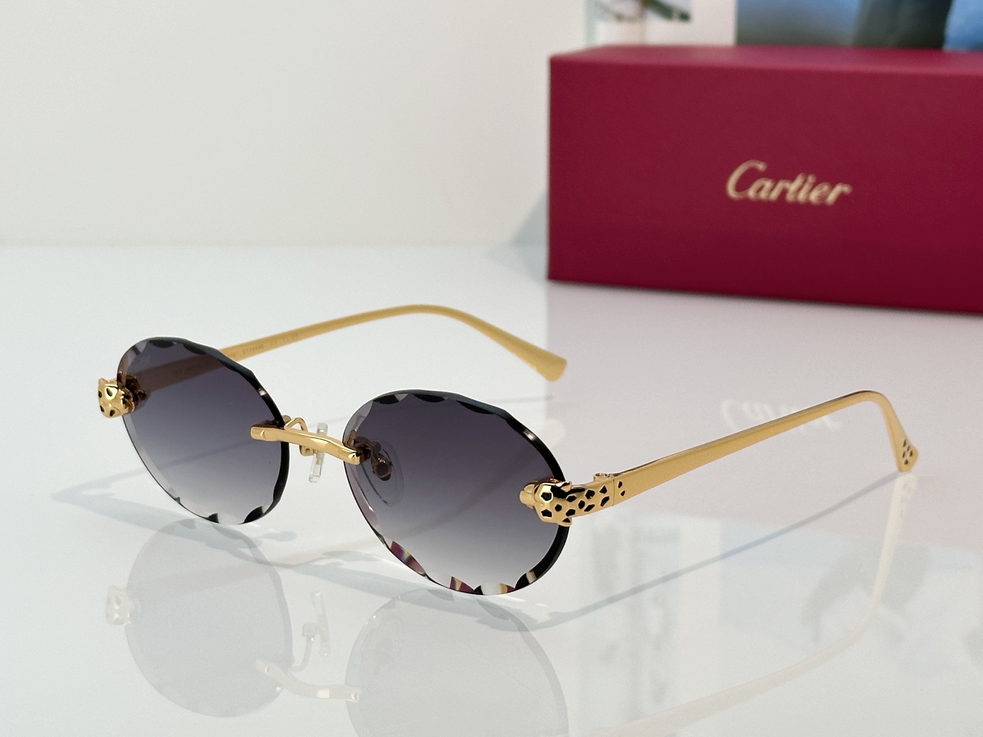 Designer Sunglasses CT7449S