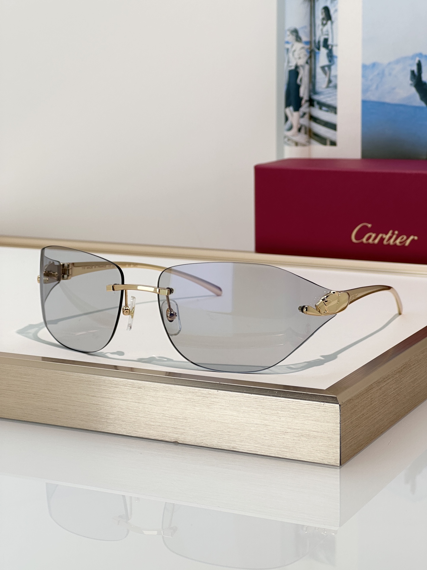 Designer Sunglasses CT0068S
