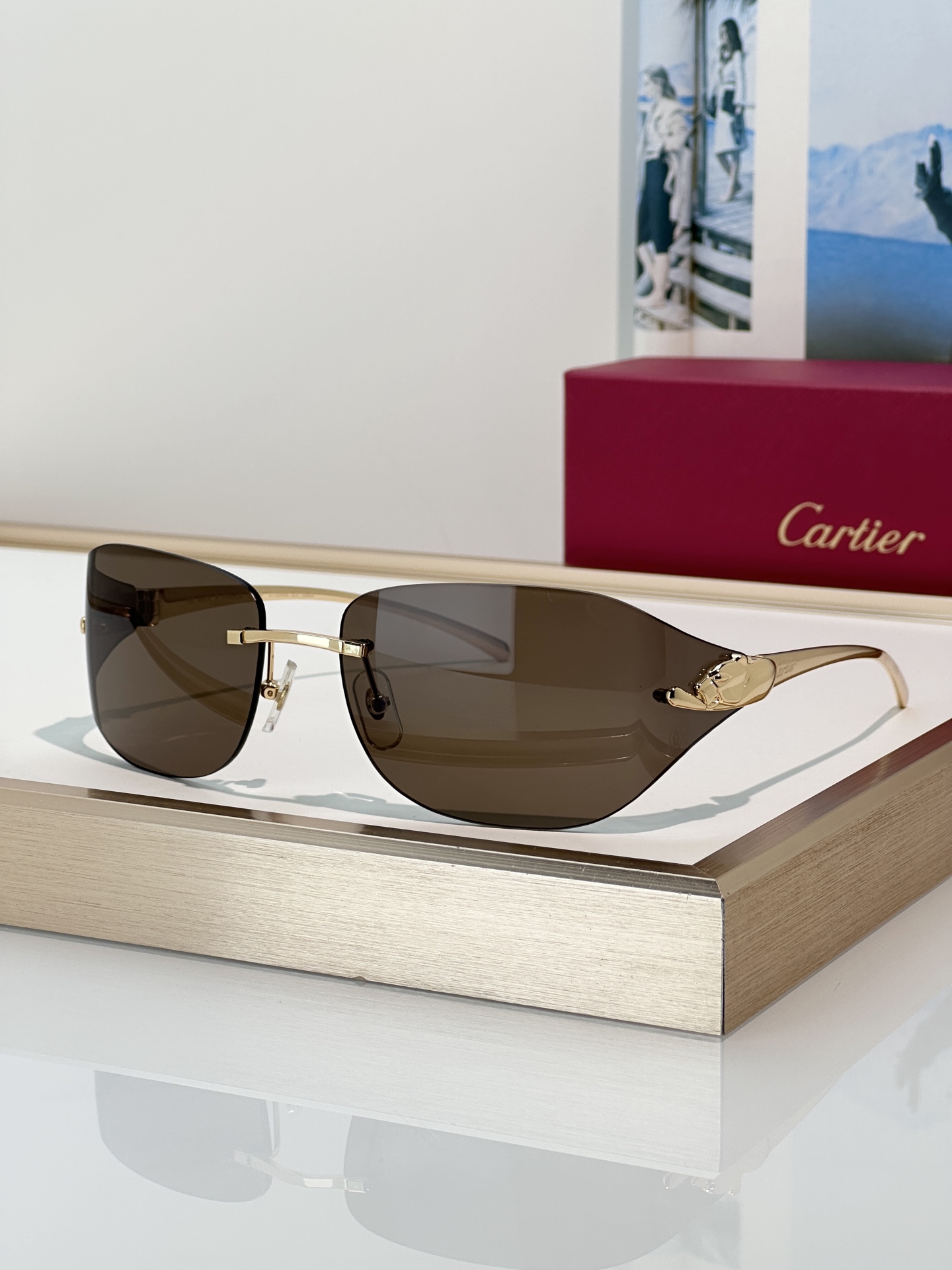 Designer Sunglasses CT0068S