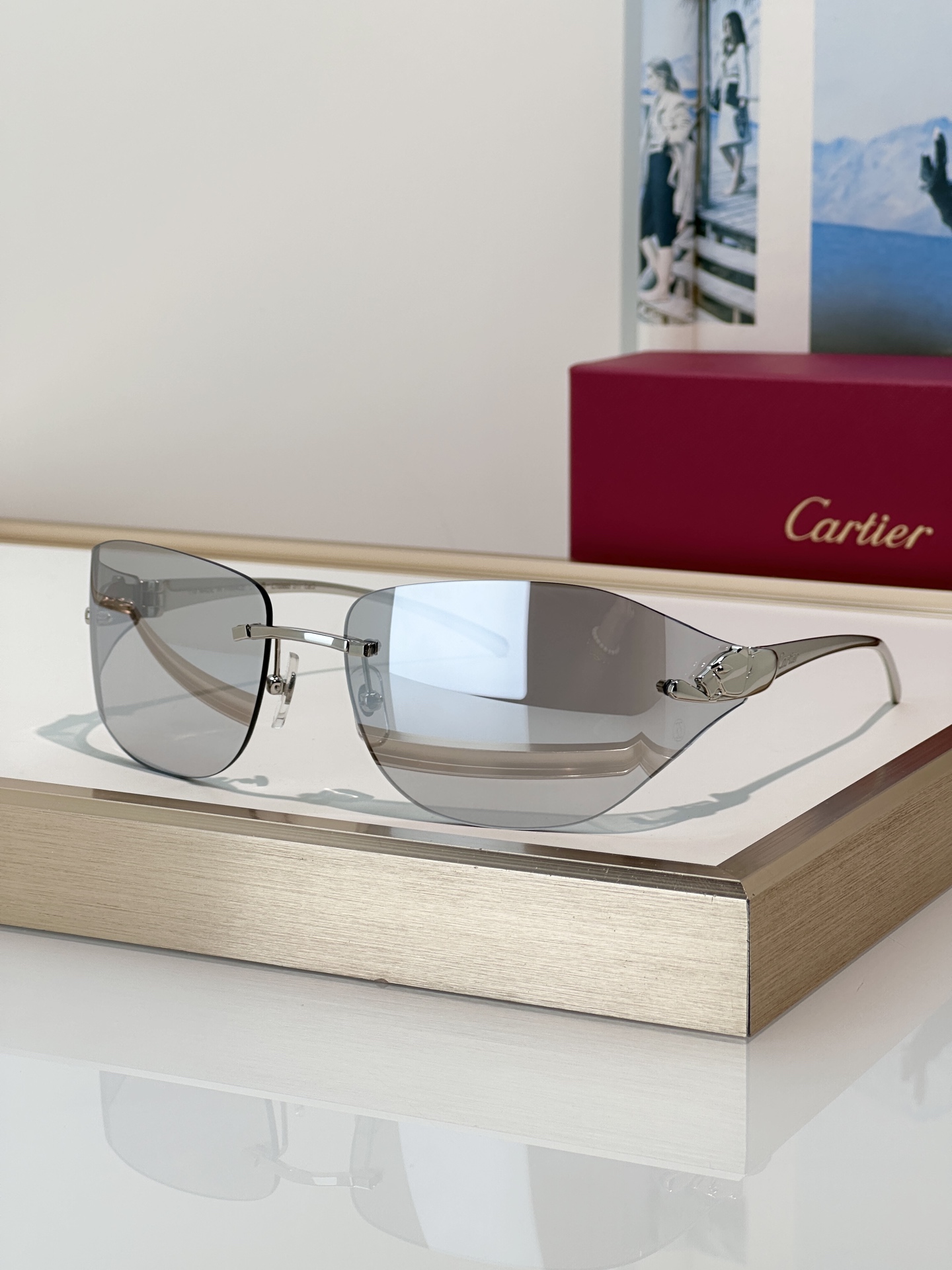 Designer Sunglasses CT0068S
