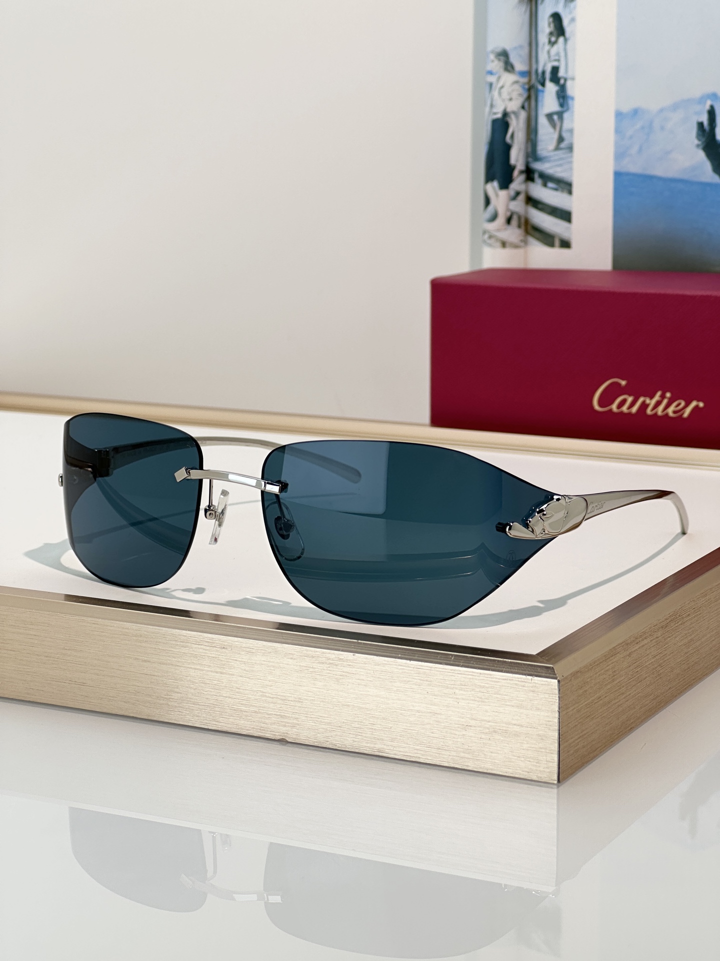 Designer Sunglasses CT0068S