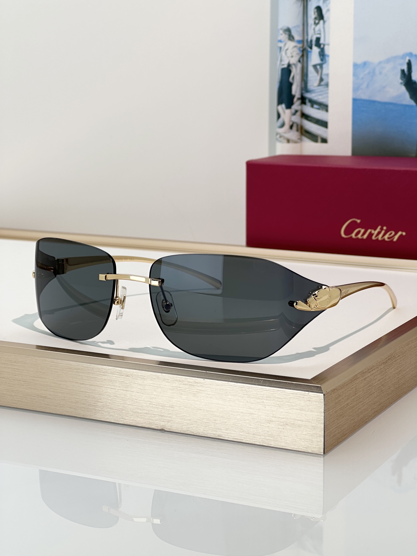 Designer Sunglasses CT0068S