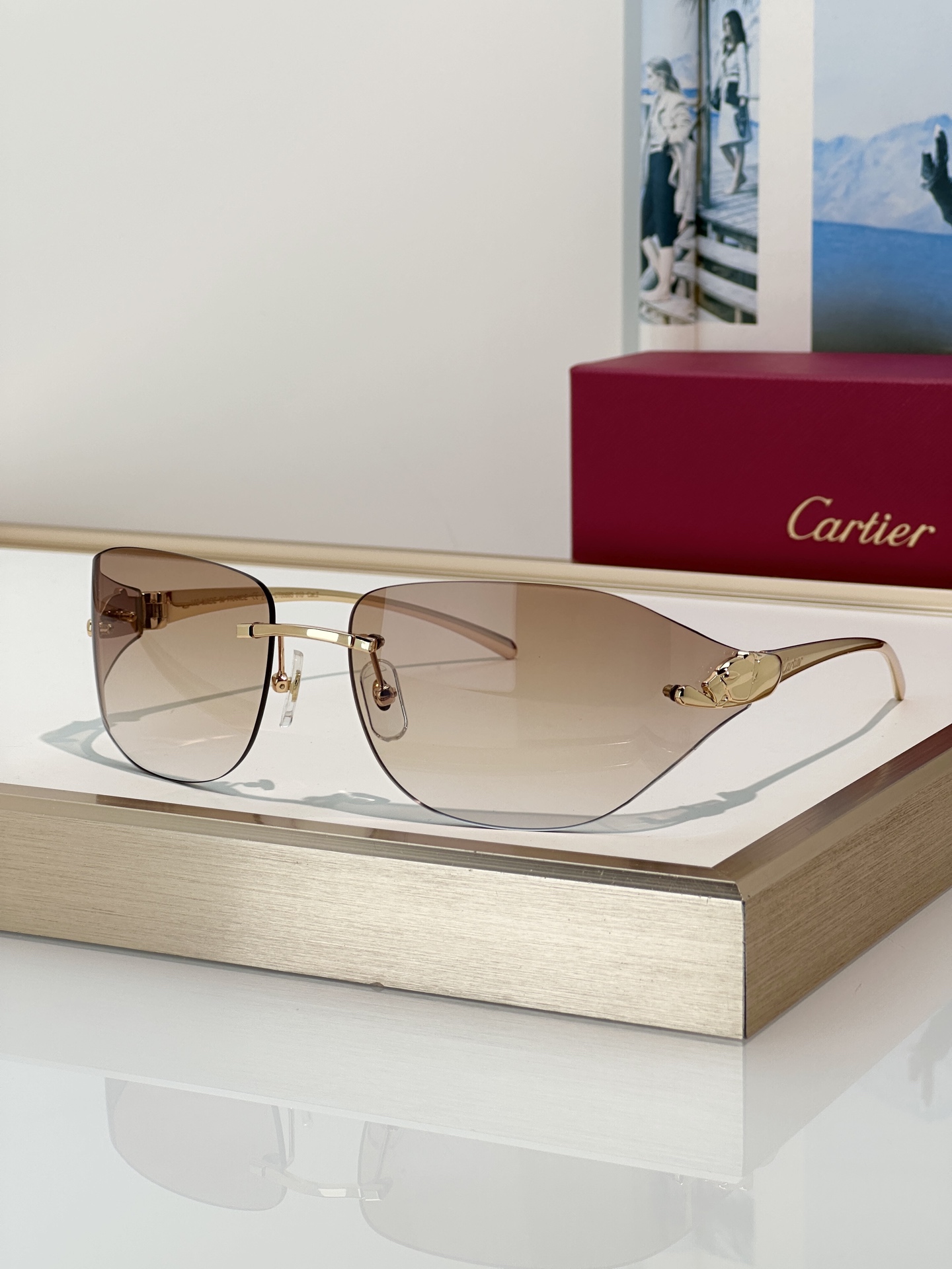 Designer Sunglasses CT0068S