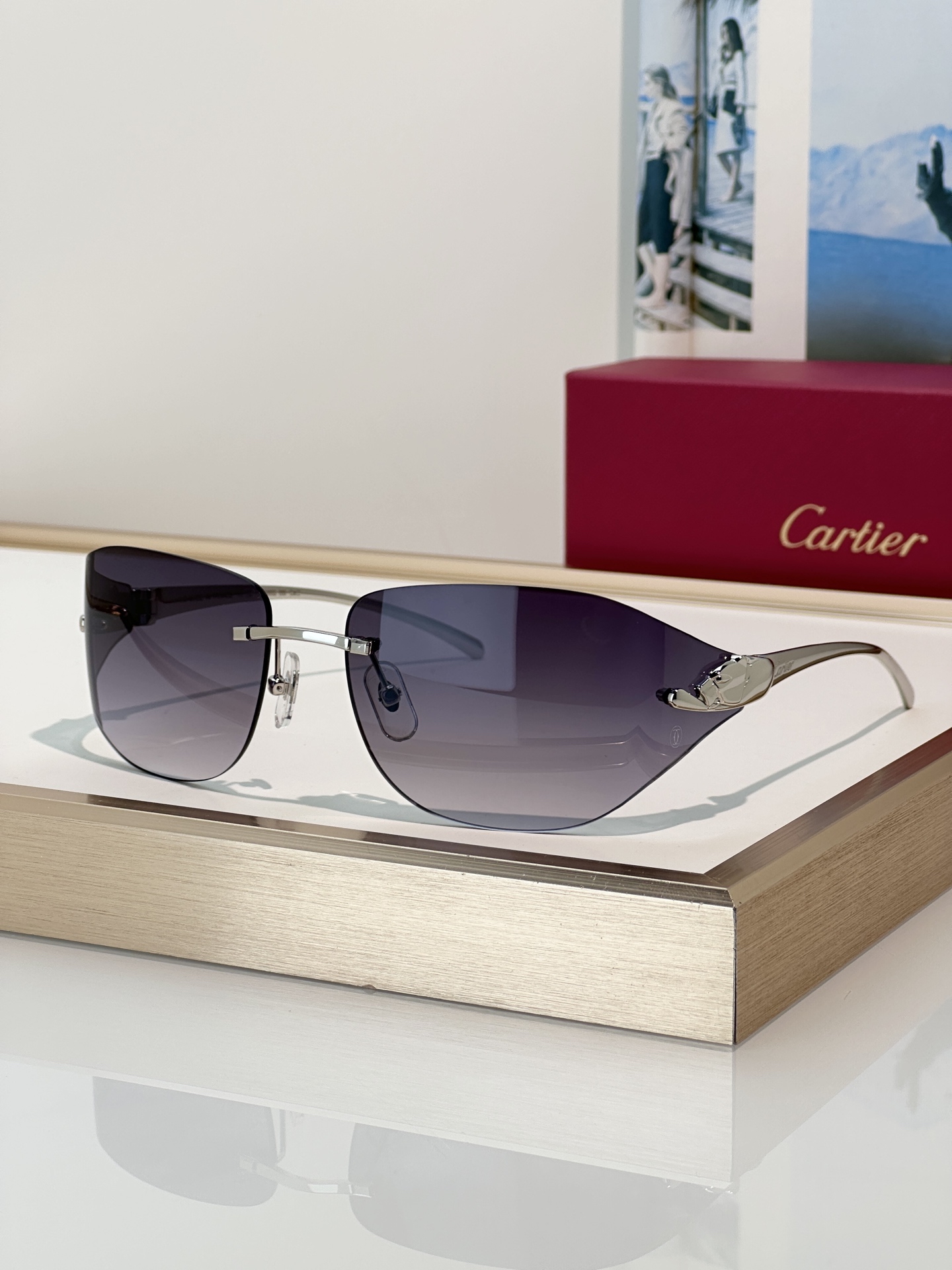 Designer Sunglasses CT0068S