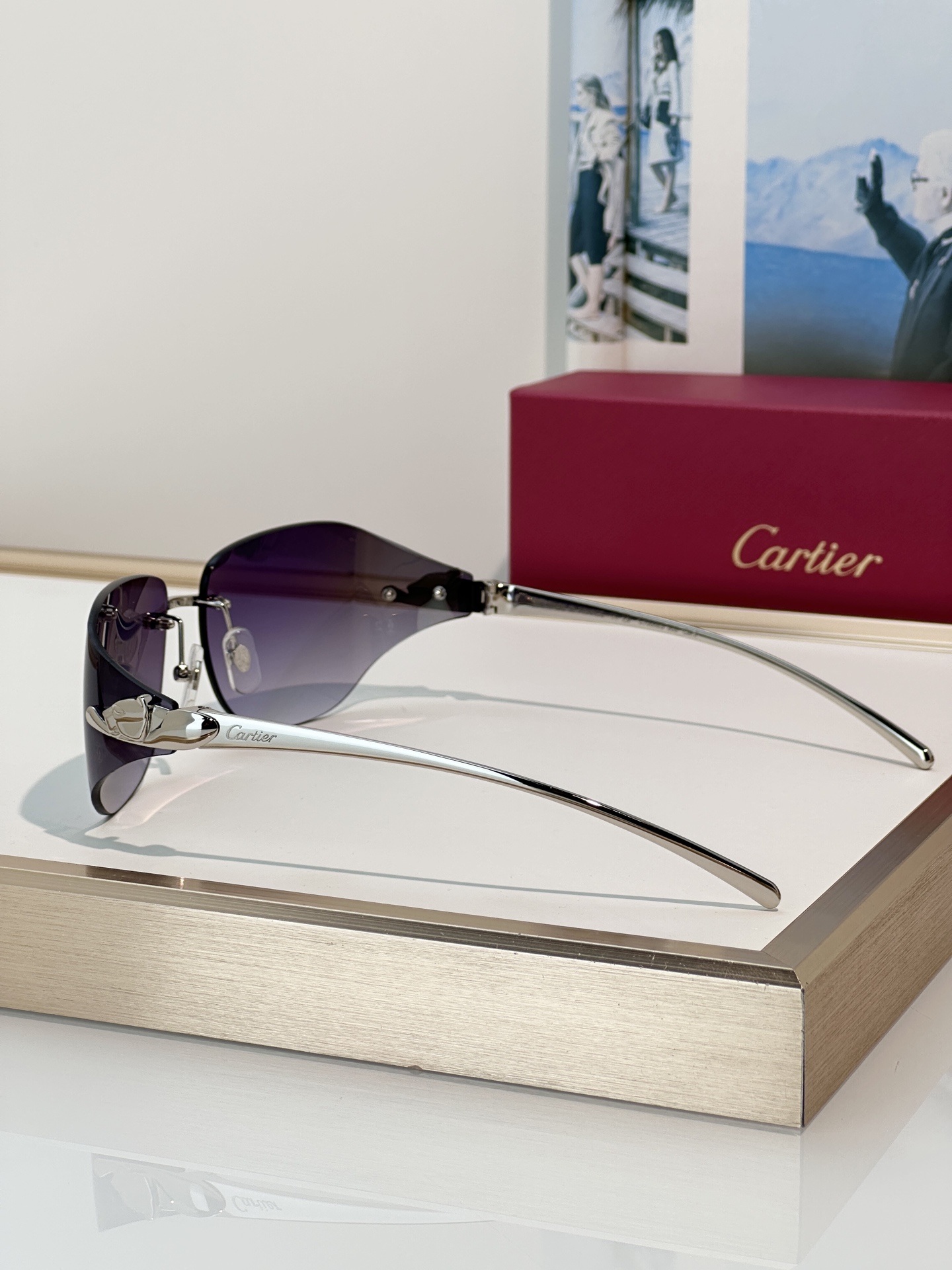 Designer Sunglasses CT0068S