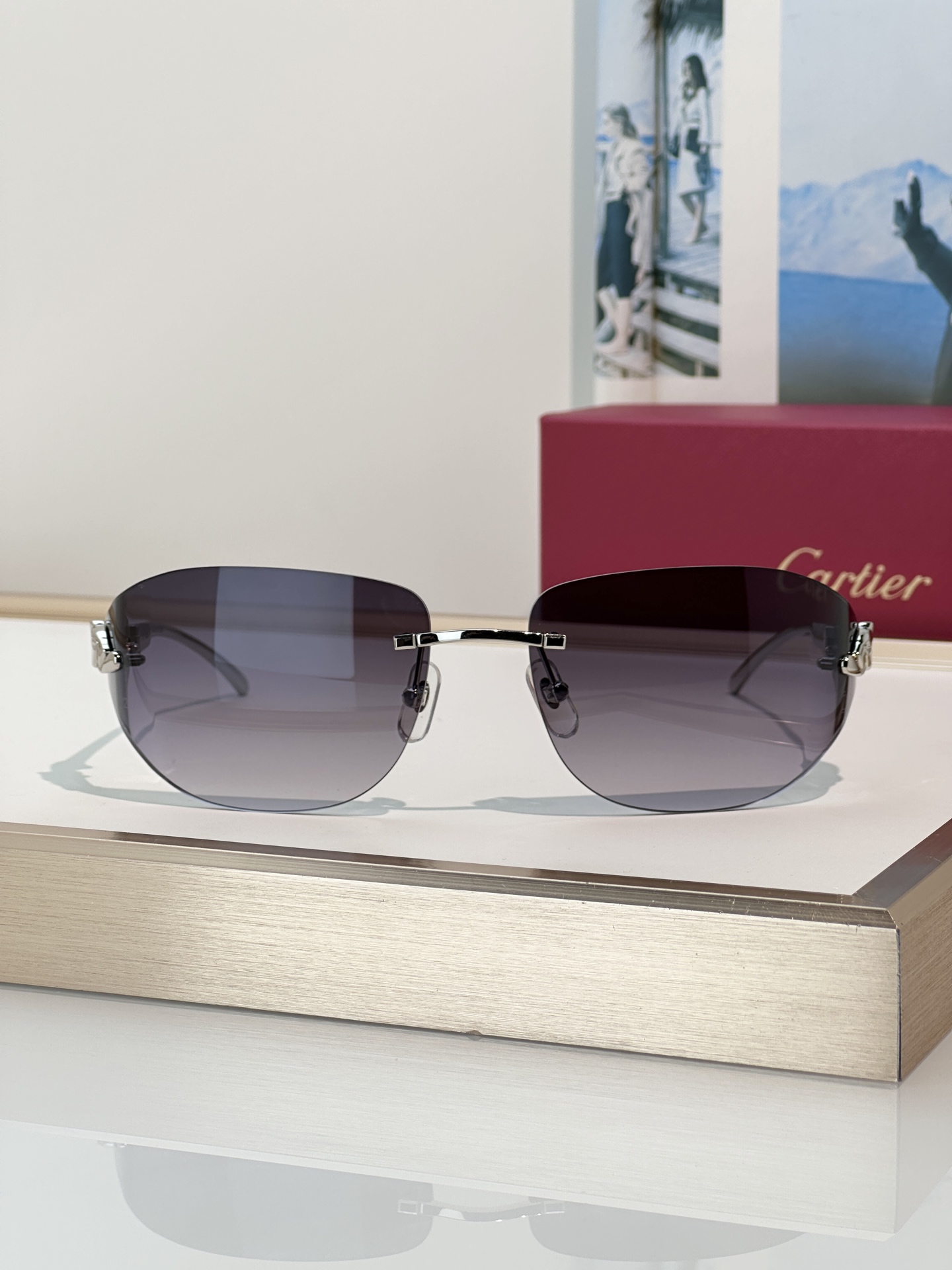 Designer Sunglasses CT0068S