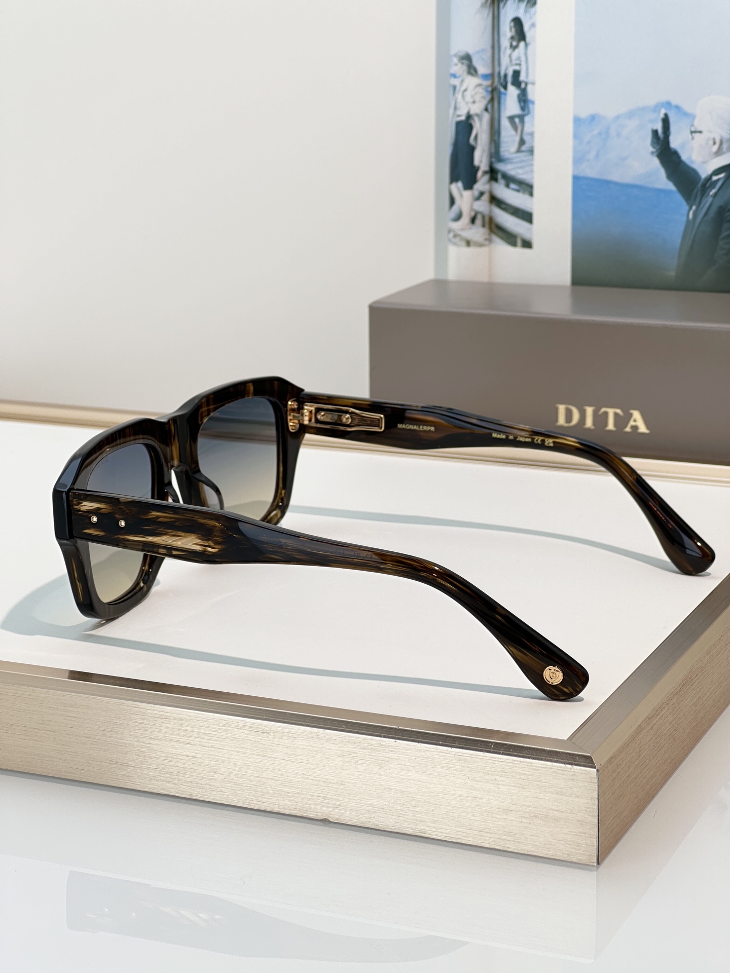 DITA Sunglasses DTS738