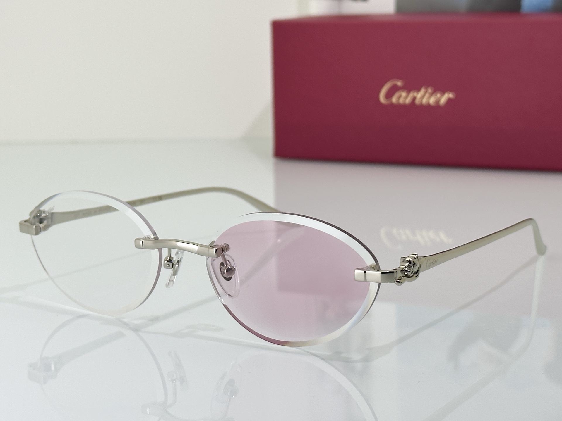 Designer Sunglasses CT0504S