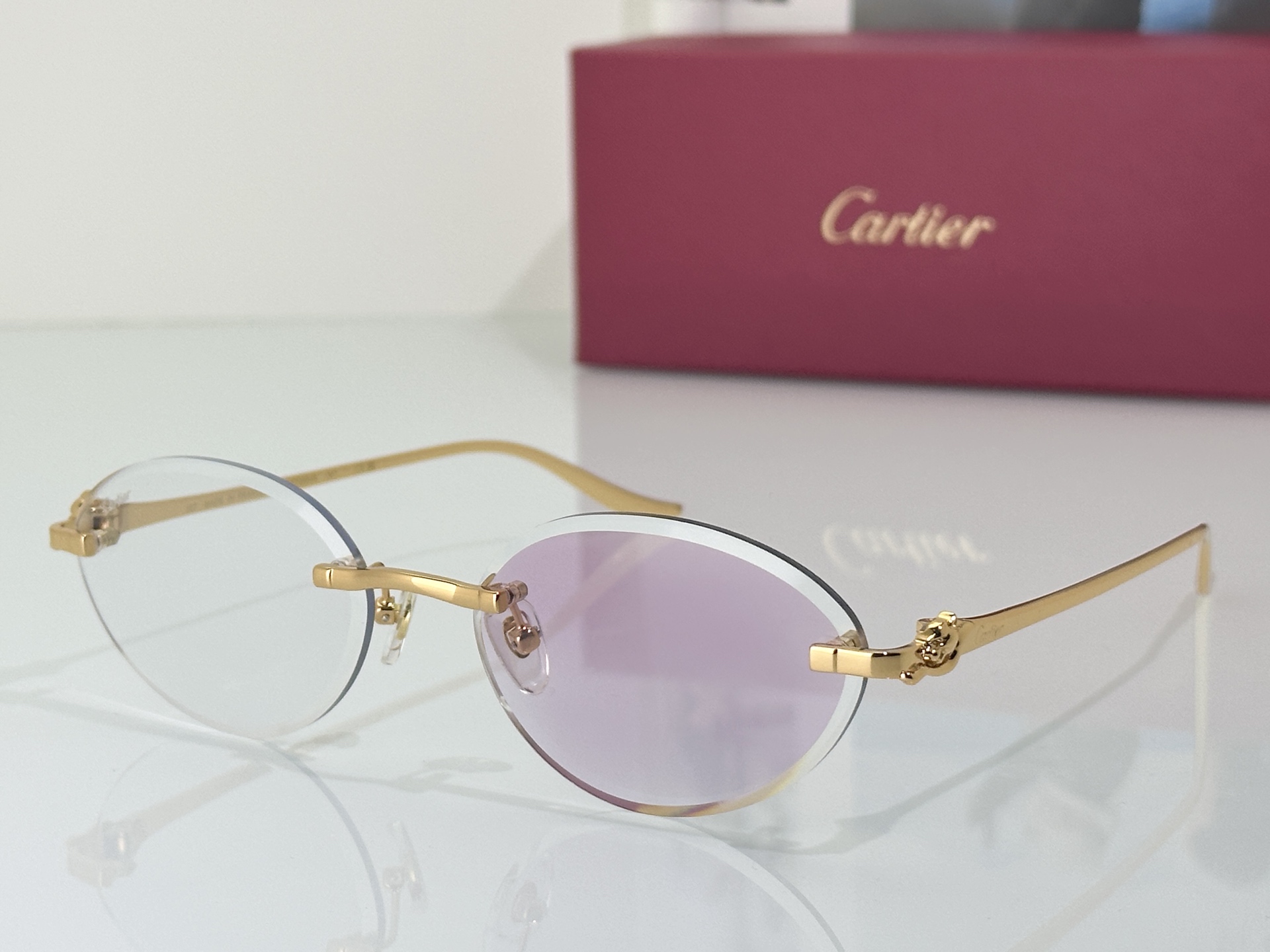 Designer Sunglasses CT0504S