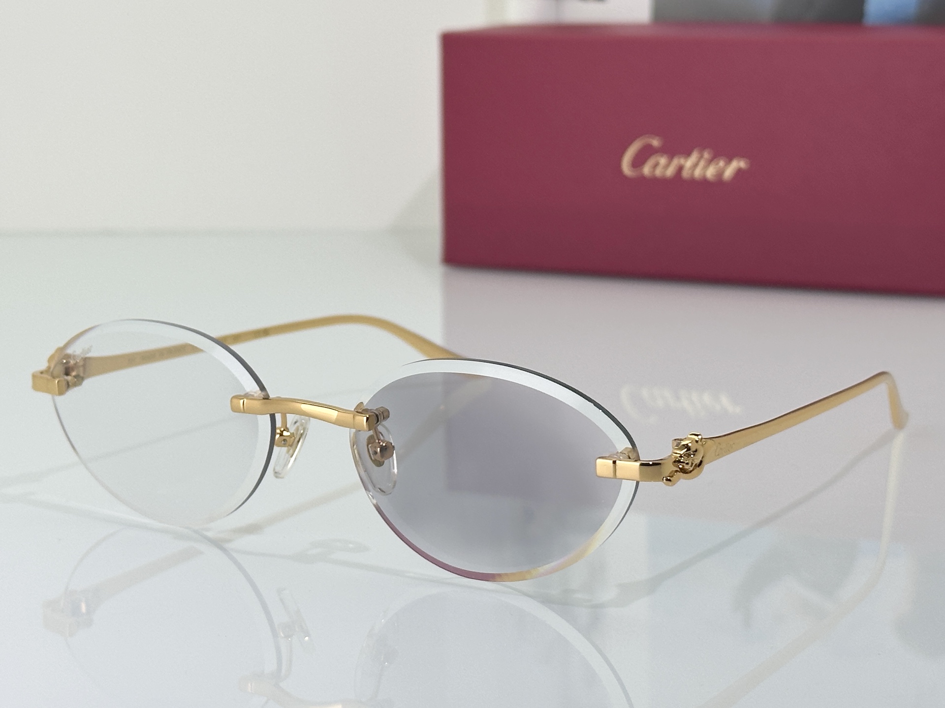 Designer Sunglasses CT0504S