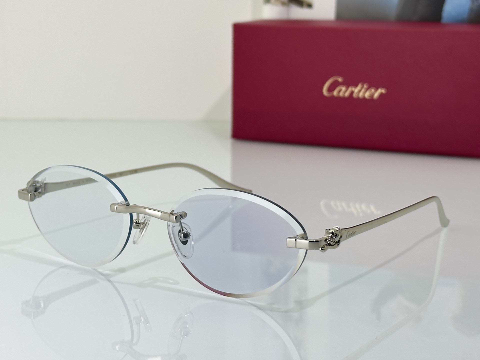Designer Sunglasses CT0504S