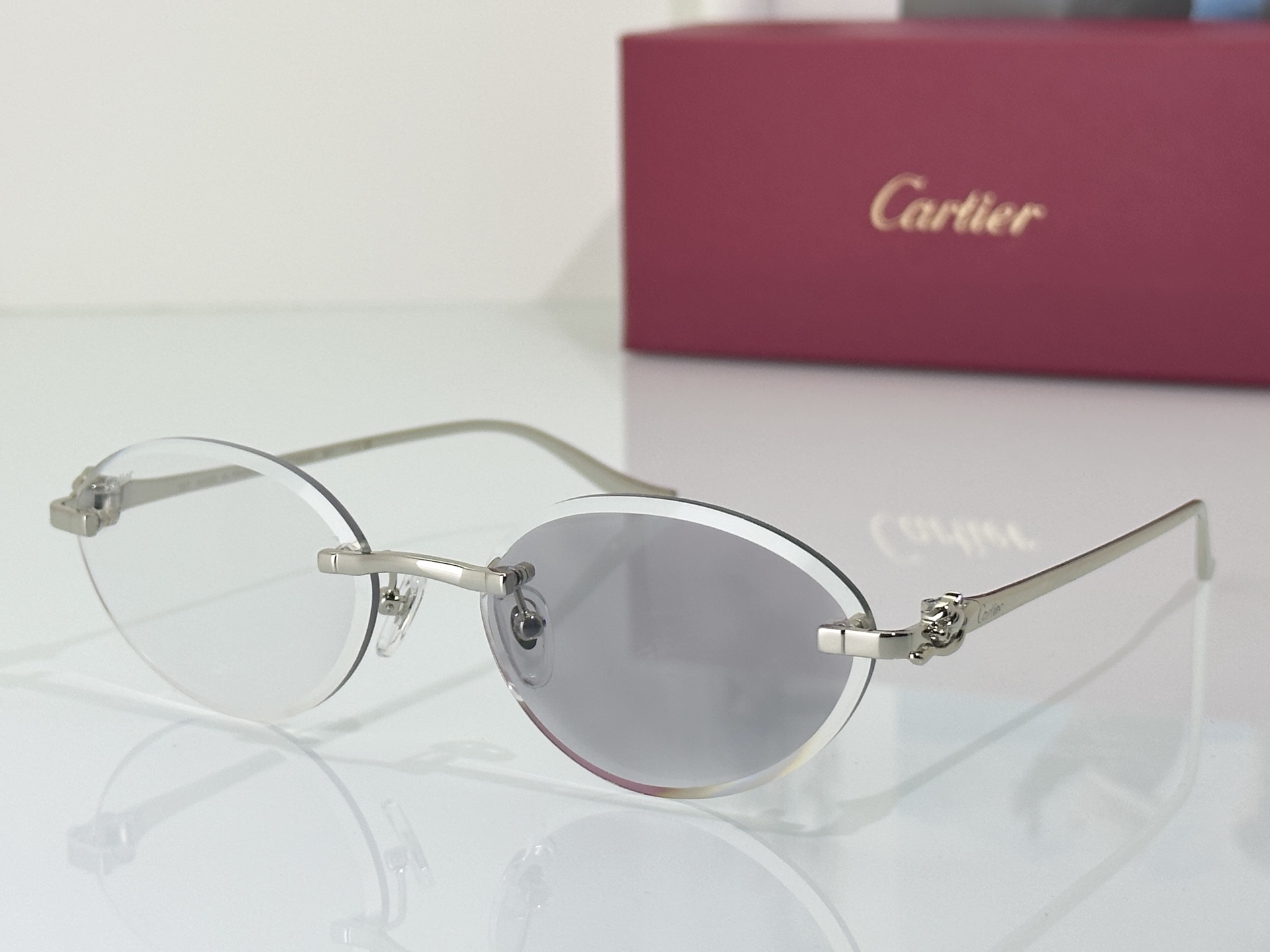 Designer Sunglasses CT0504S