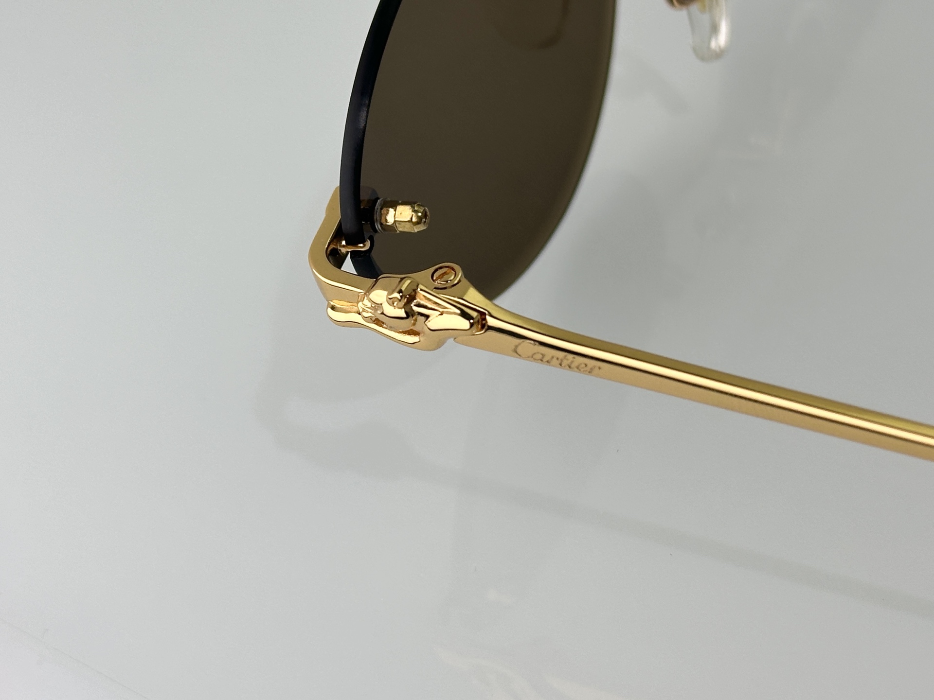 Designer Sunglasses CT0504S