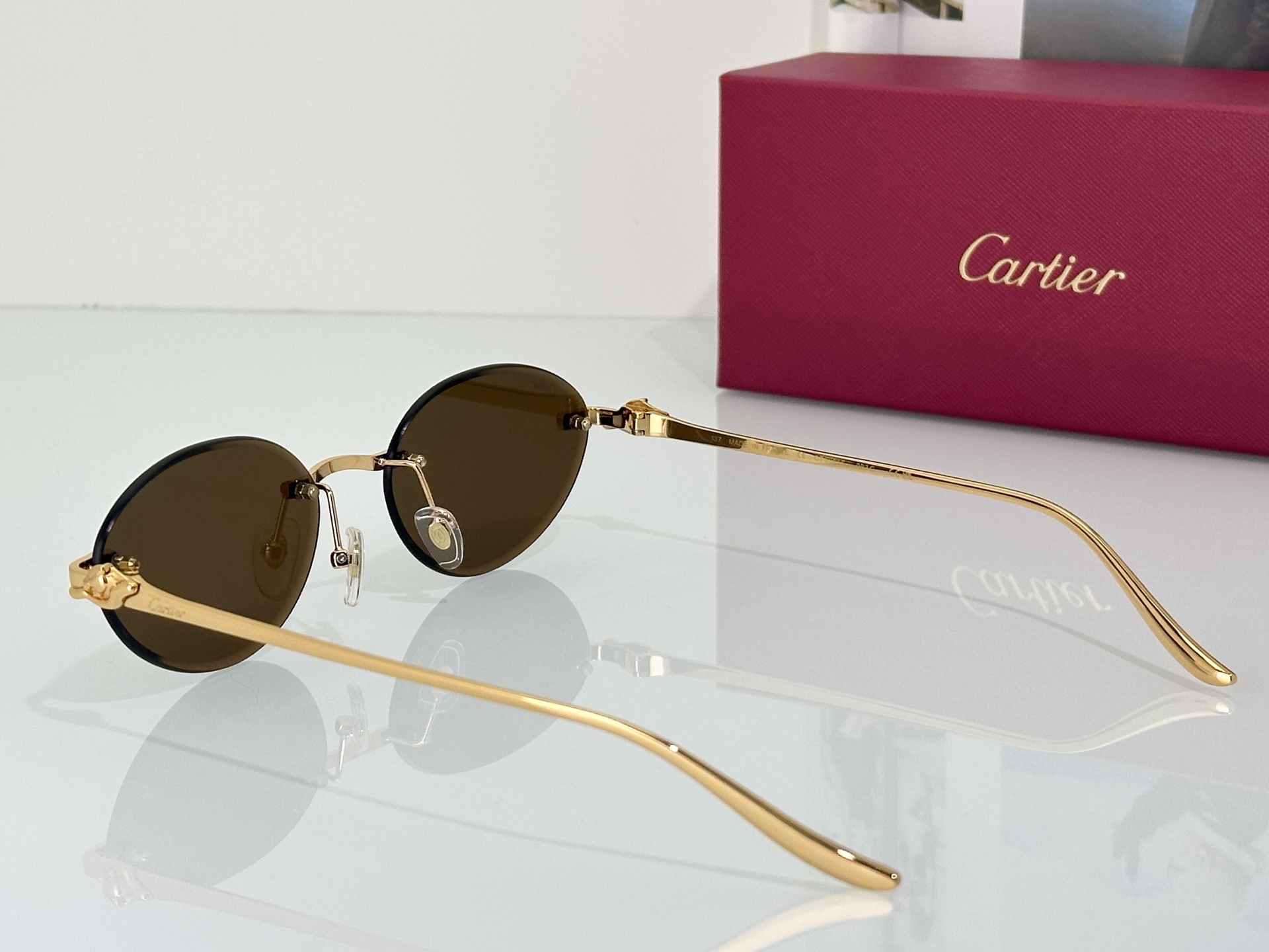 Designer Sunglasses CT0504S