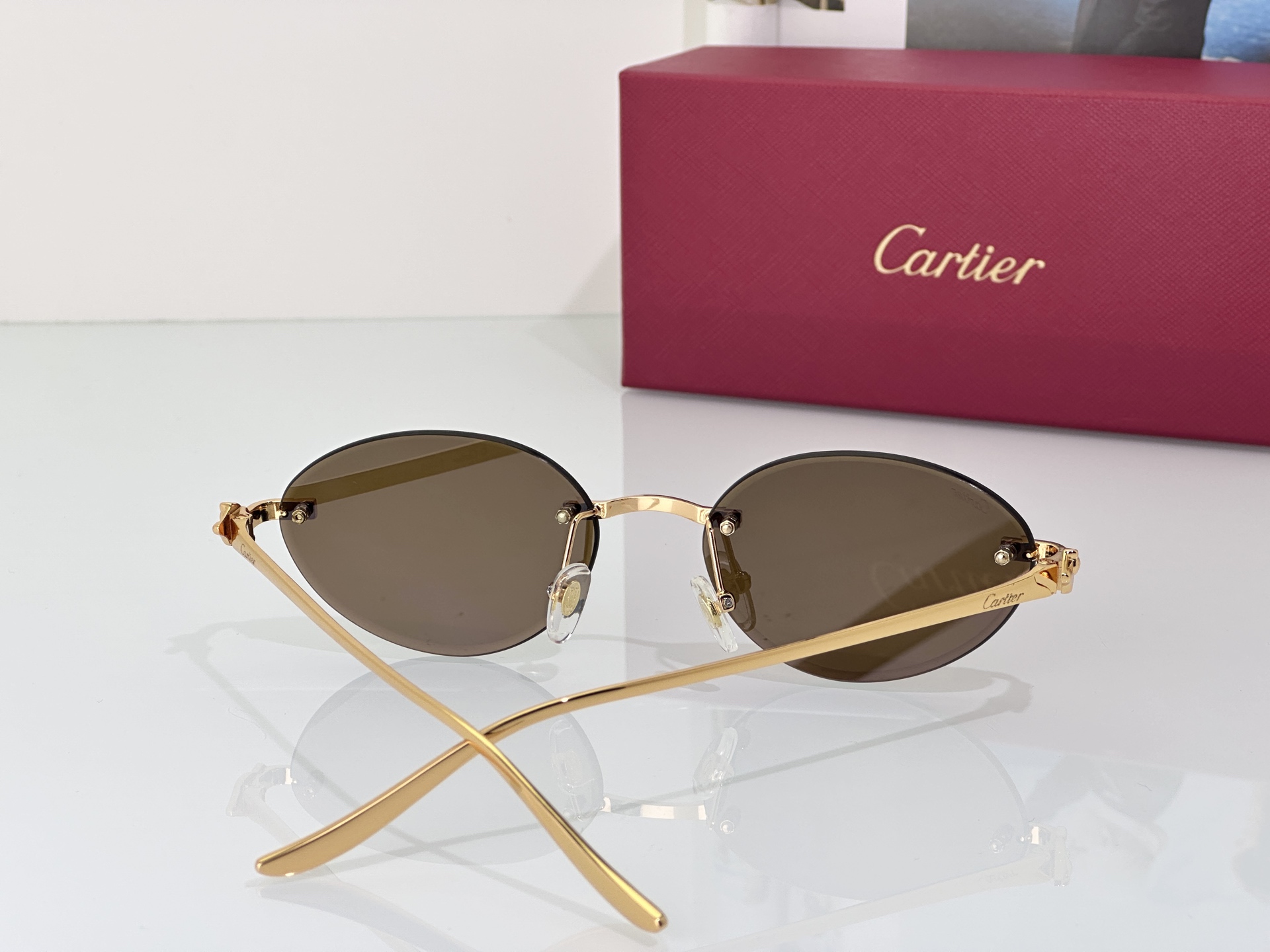 Designer Sunglasses CT0504S