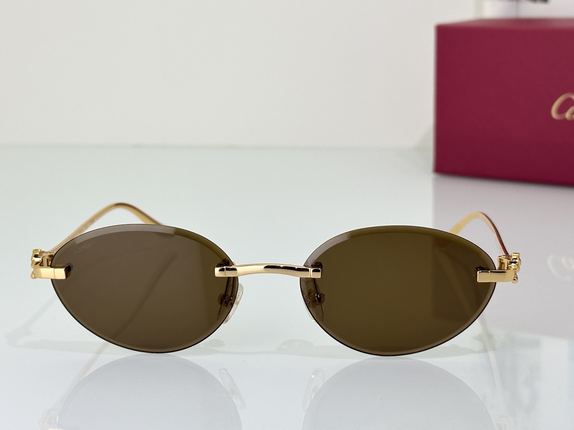 Designer Sunglasses CT0504S