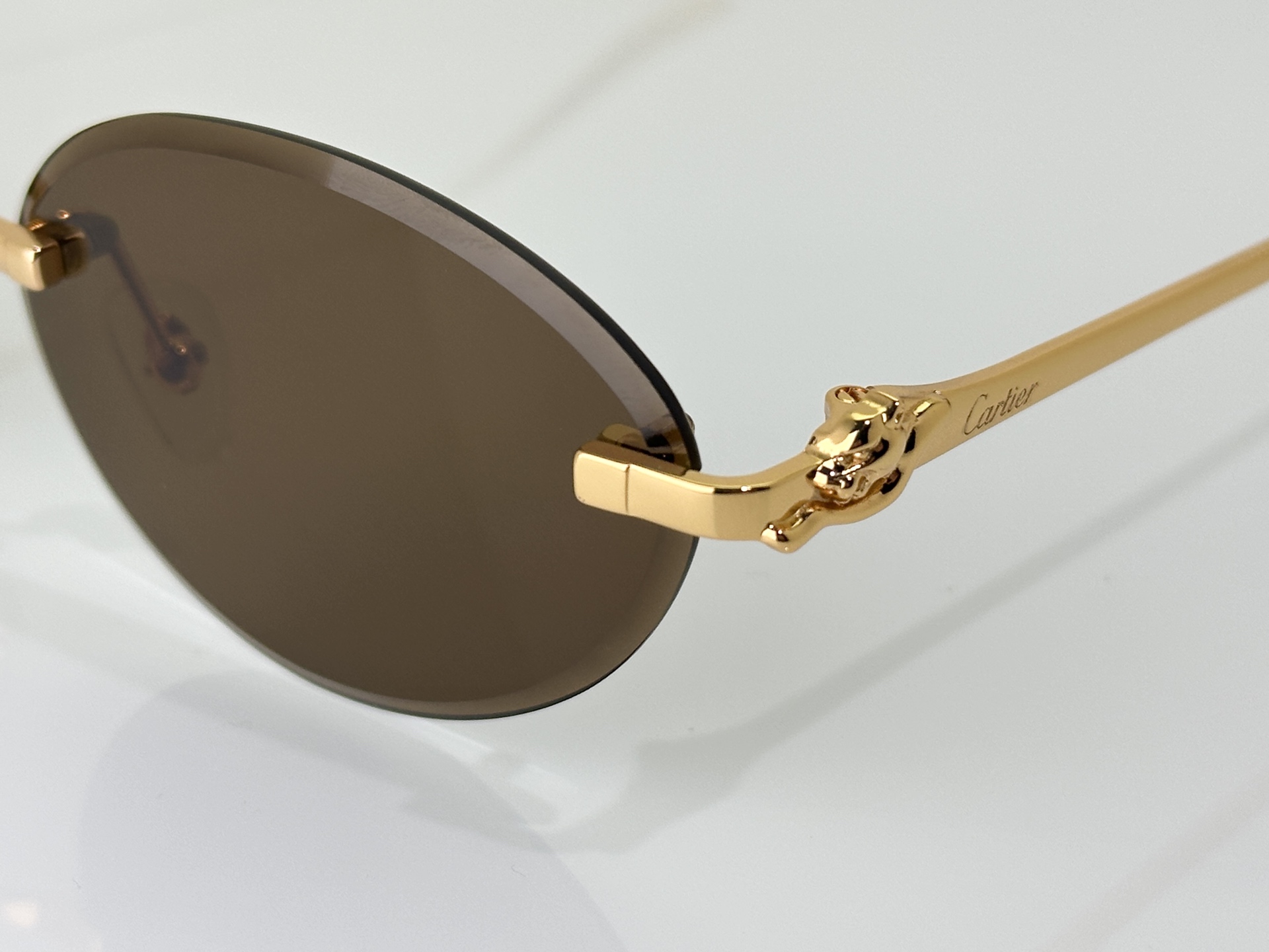 Designer Sunglasses CT0504S