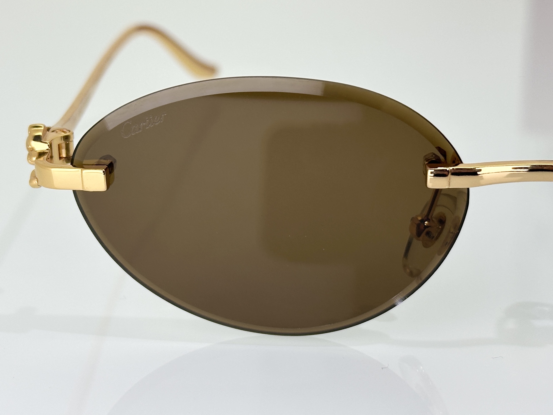Designer Sunglasses CT0504S