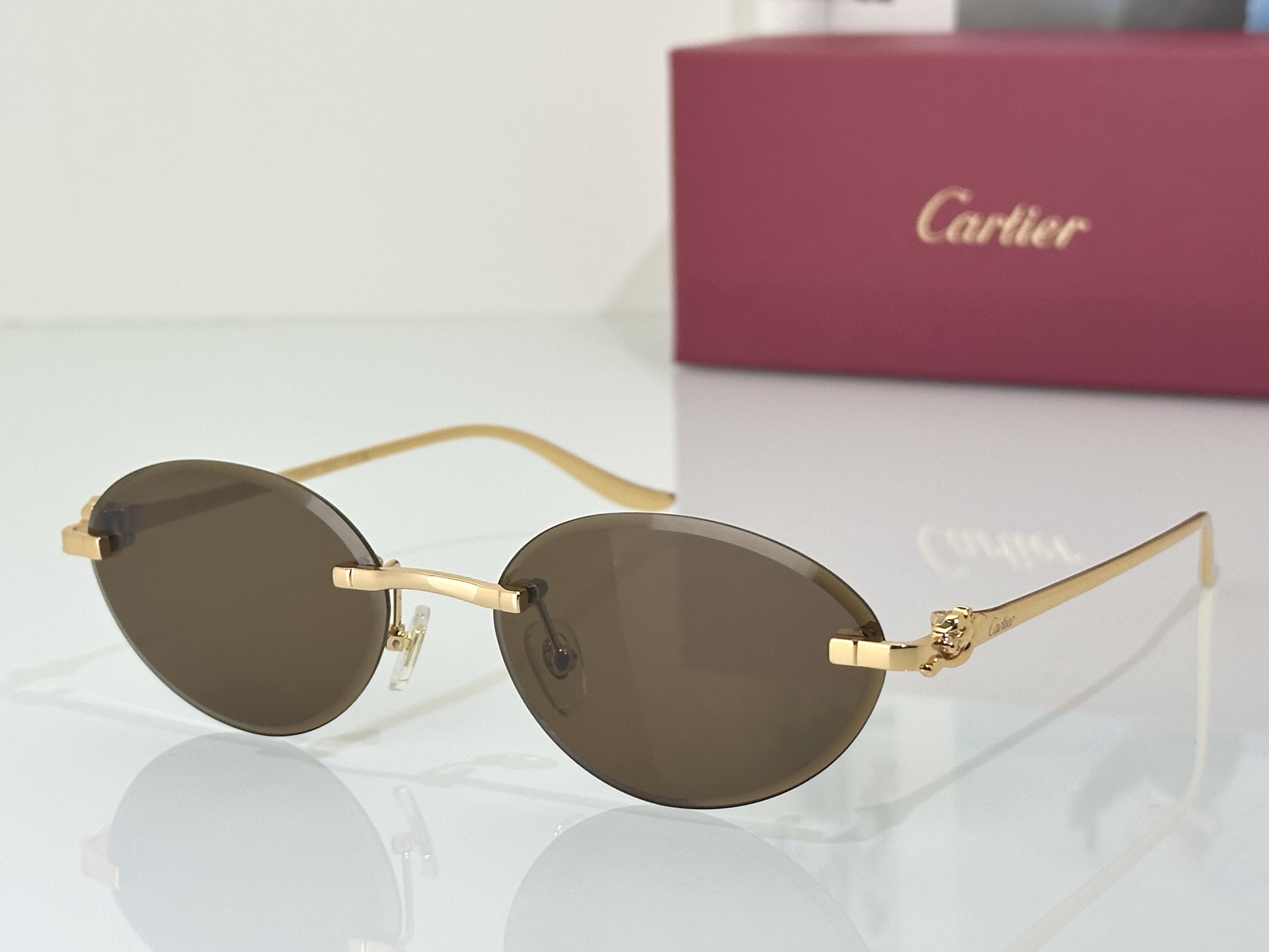 Designer Sunglasses CT0504S