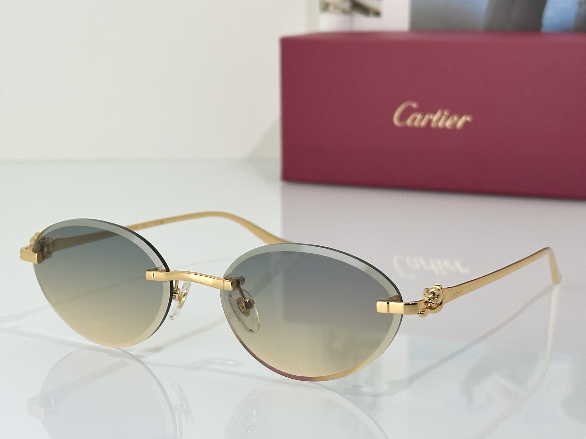 Designer Sunglasses CT0504S