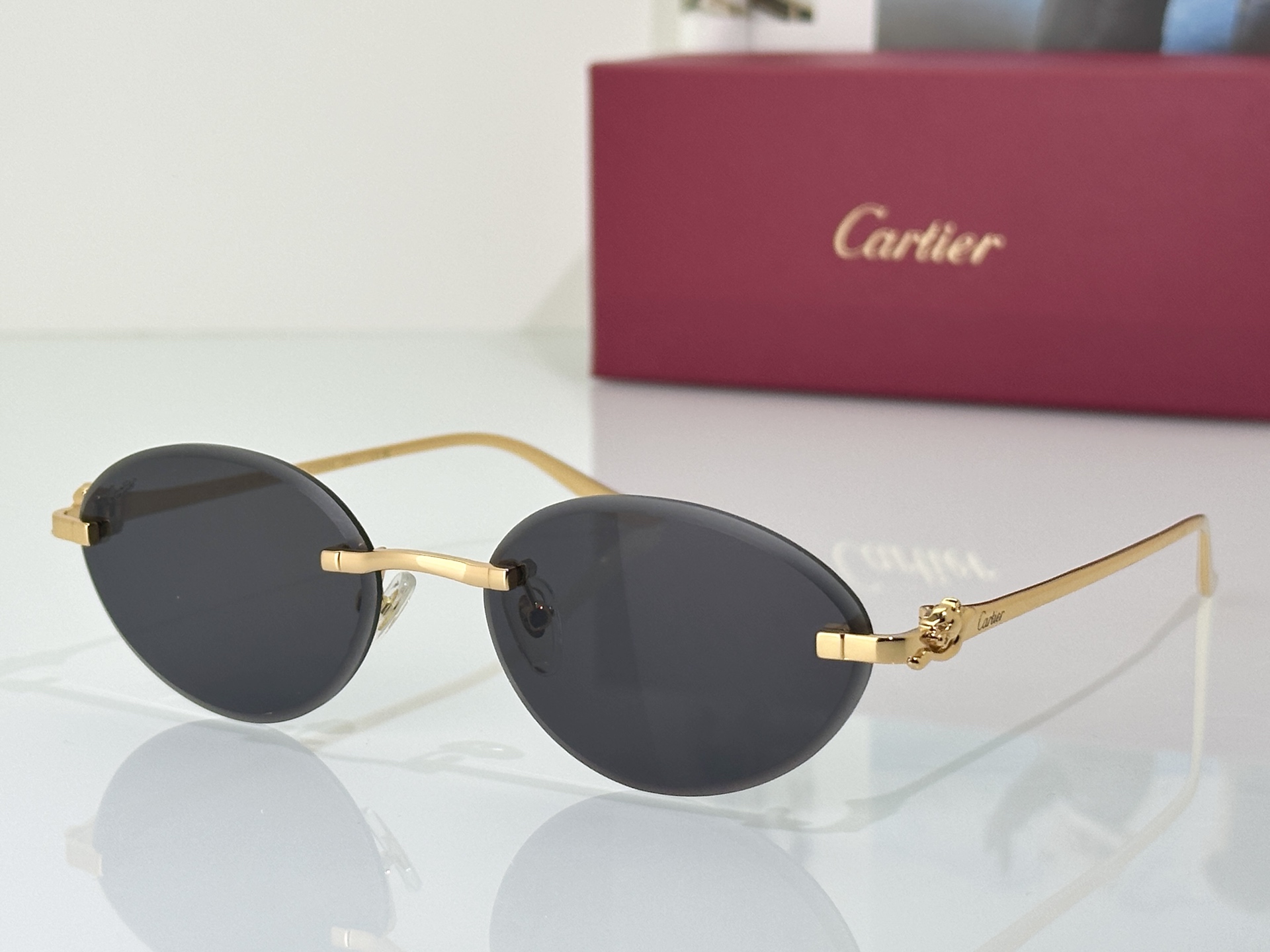 Designer Sunglasses CT0504S