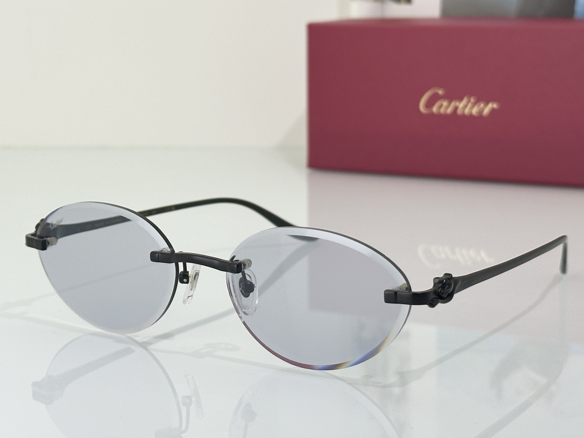 Designer Sunglasses CT0504S