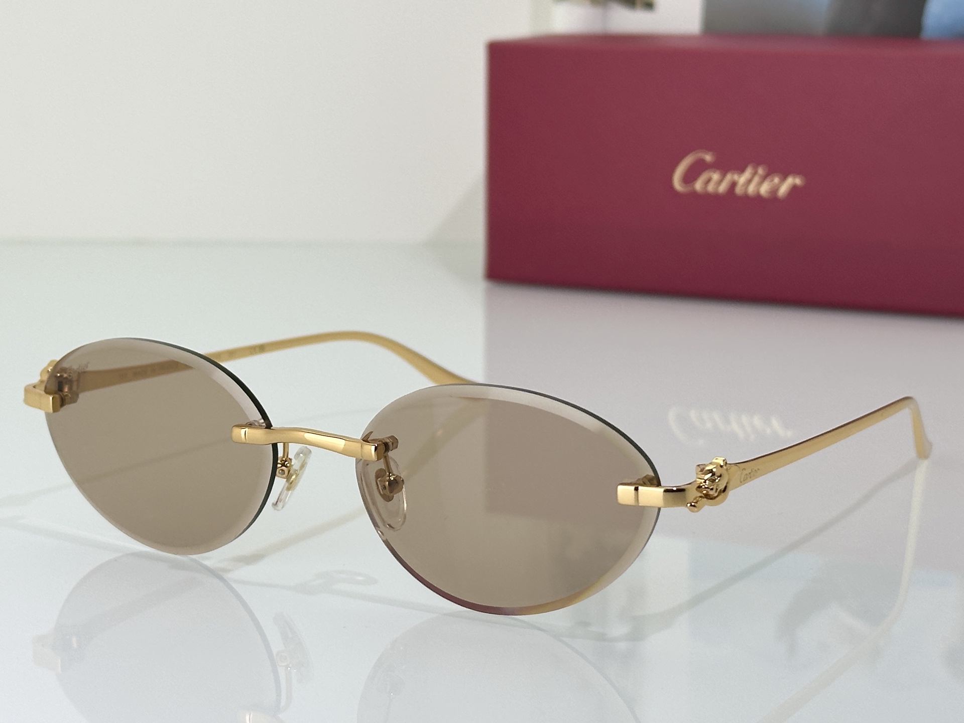 Designer Sunglasses CT0504S