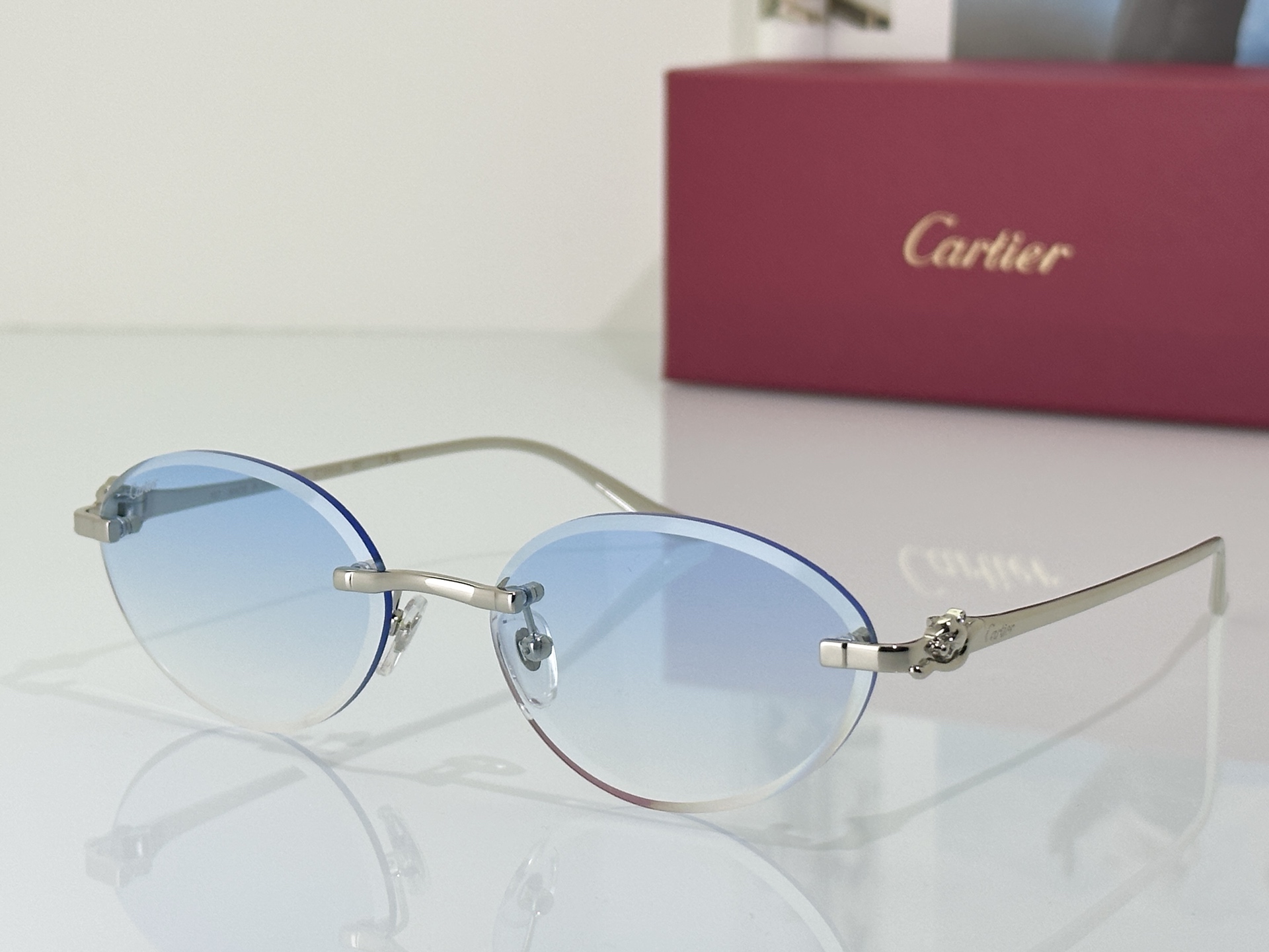 Designer Sunglasses CT0504S