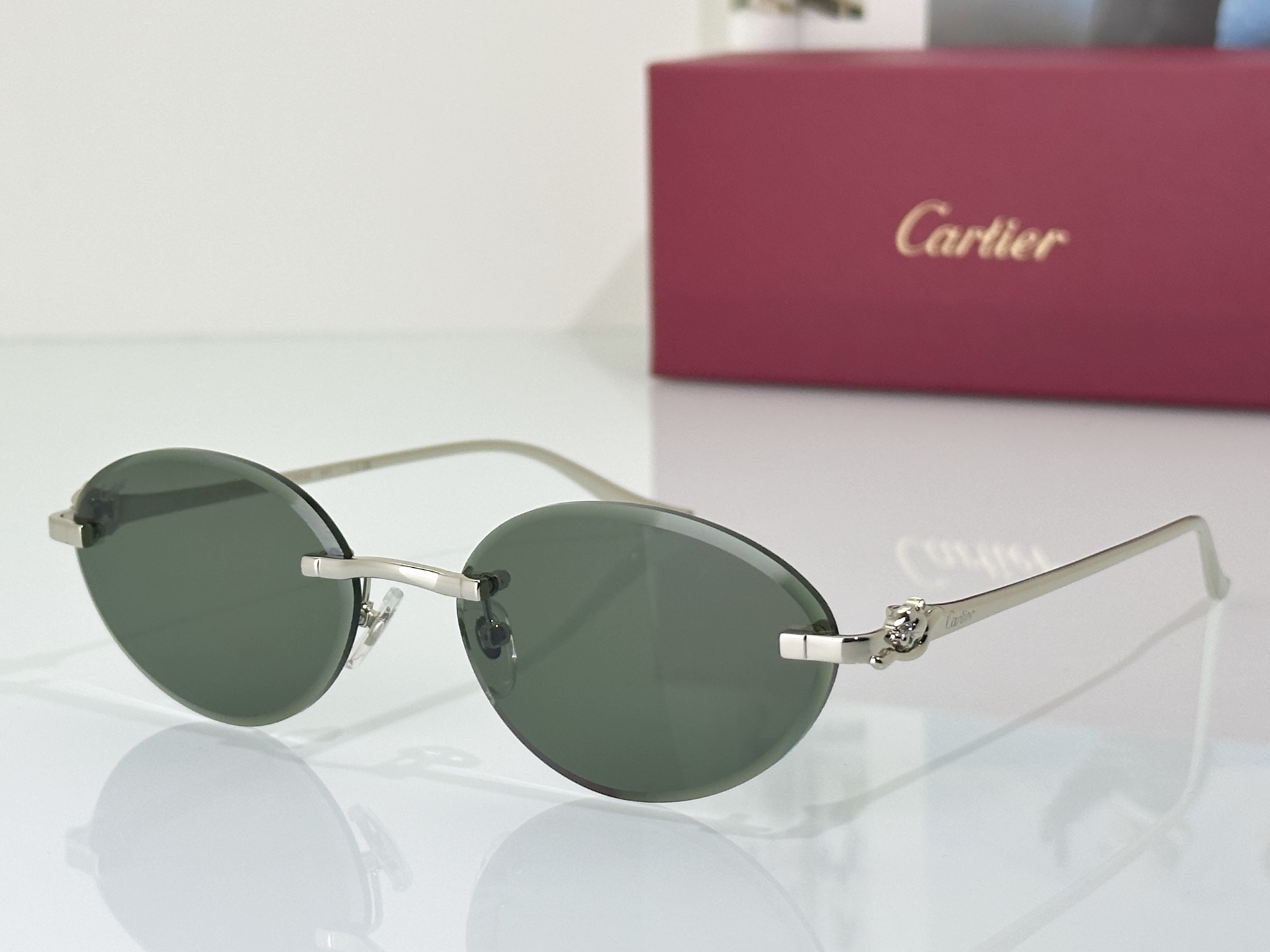 Designer Sunglasses CT0504S