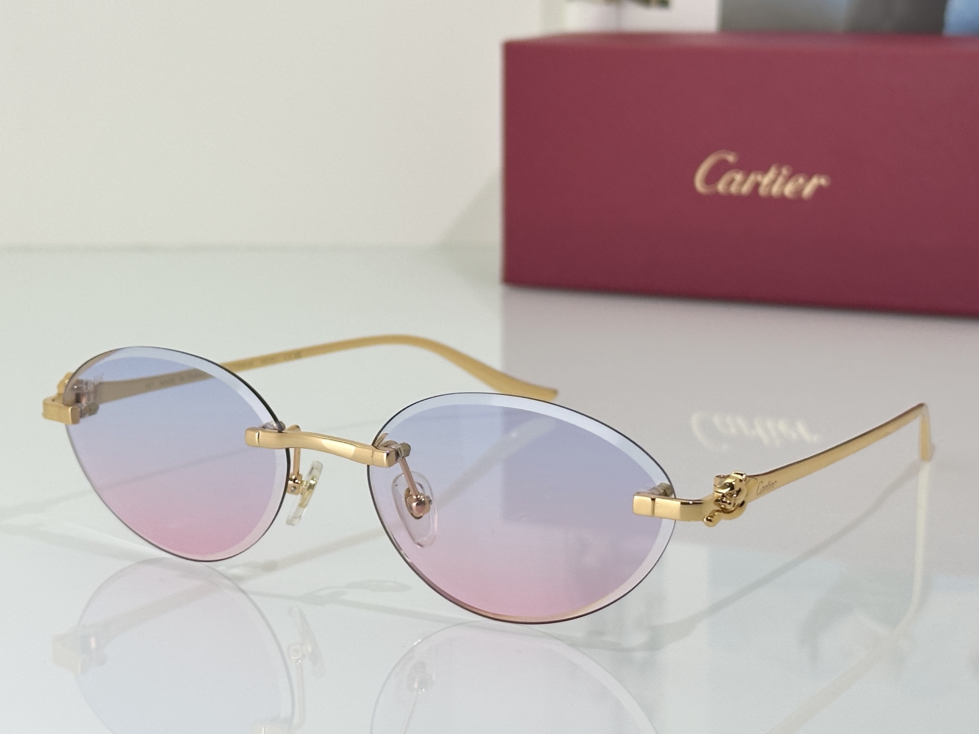 Designer Sunglasses CT0504S