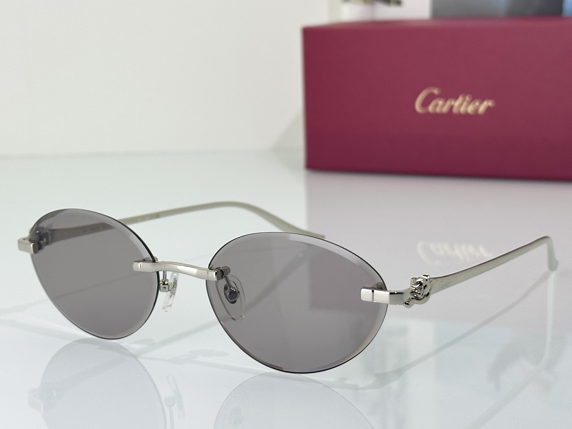Designer Sunglasses CT0504S