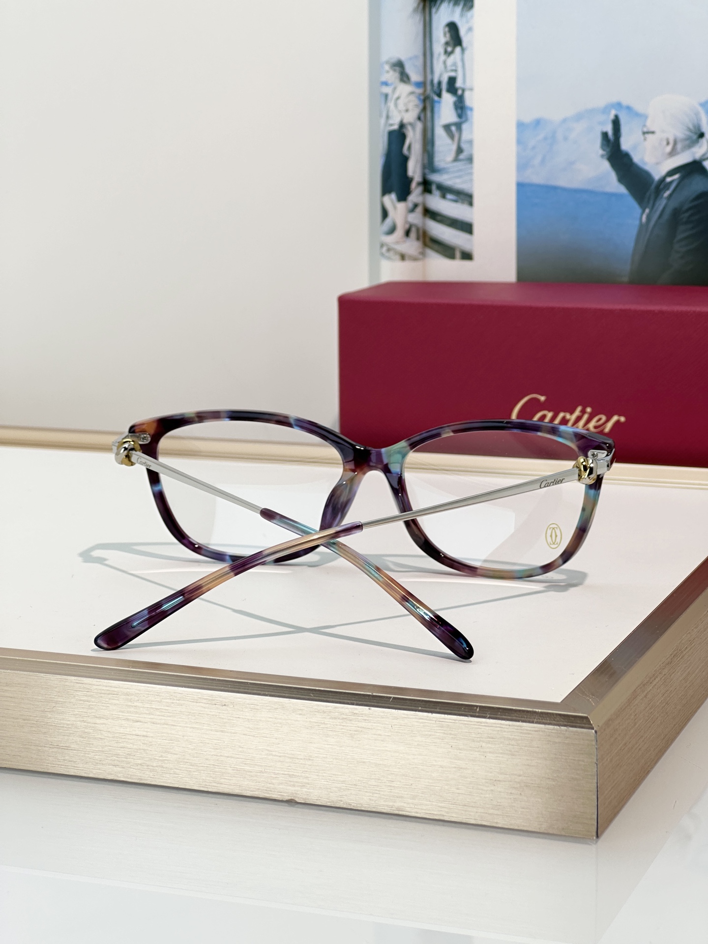 Designer Sunglasses CT0257OA