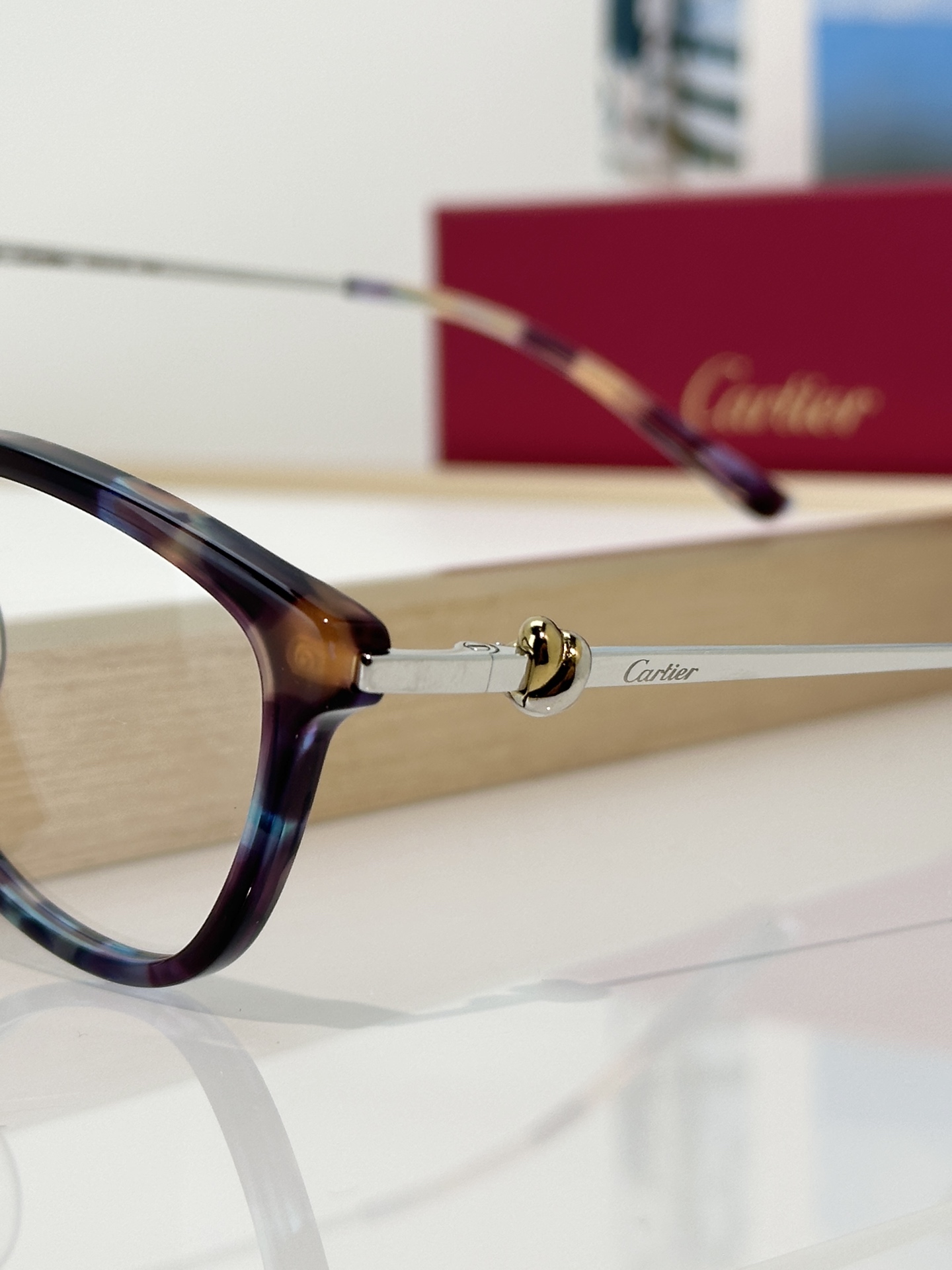 Designer Sunglasses CT0257OA